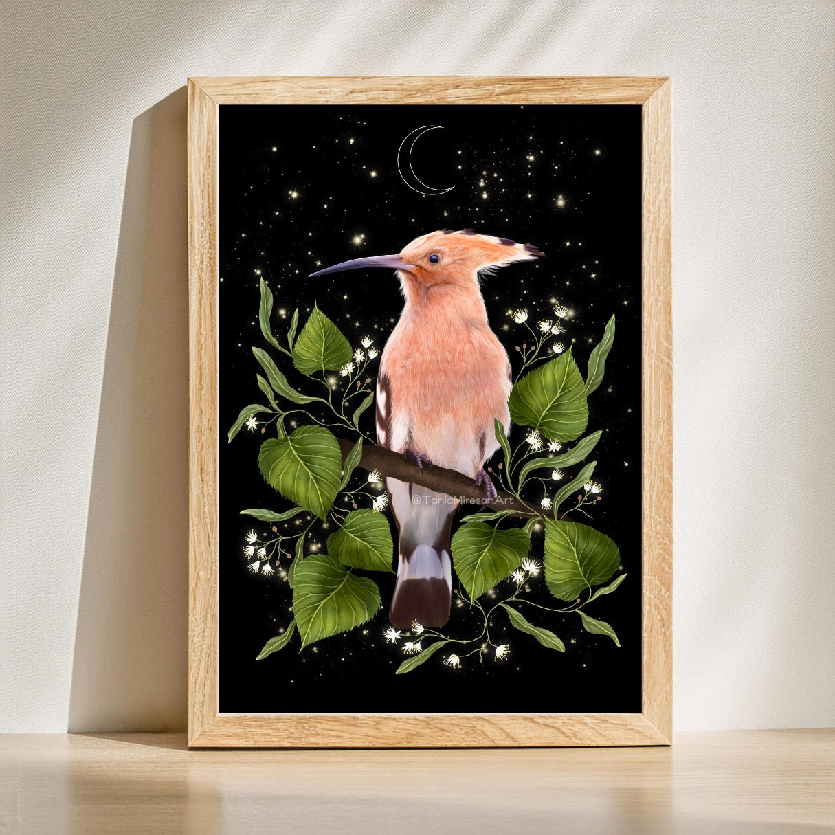 Hoopoe Fine Art Print