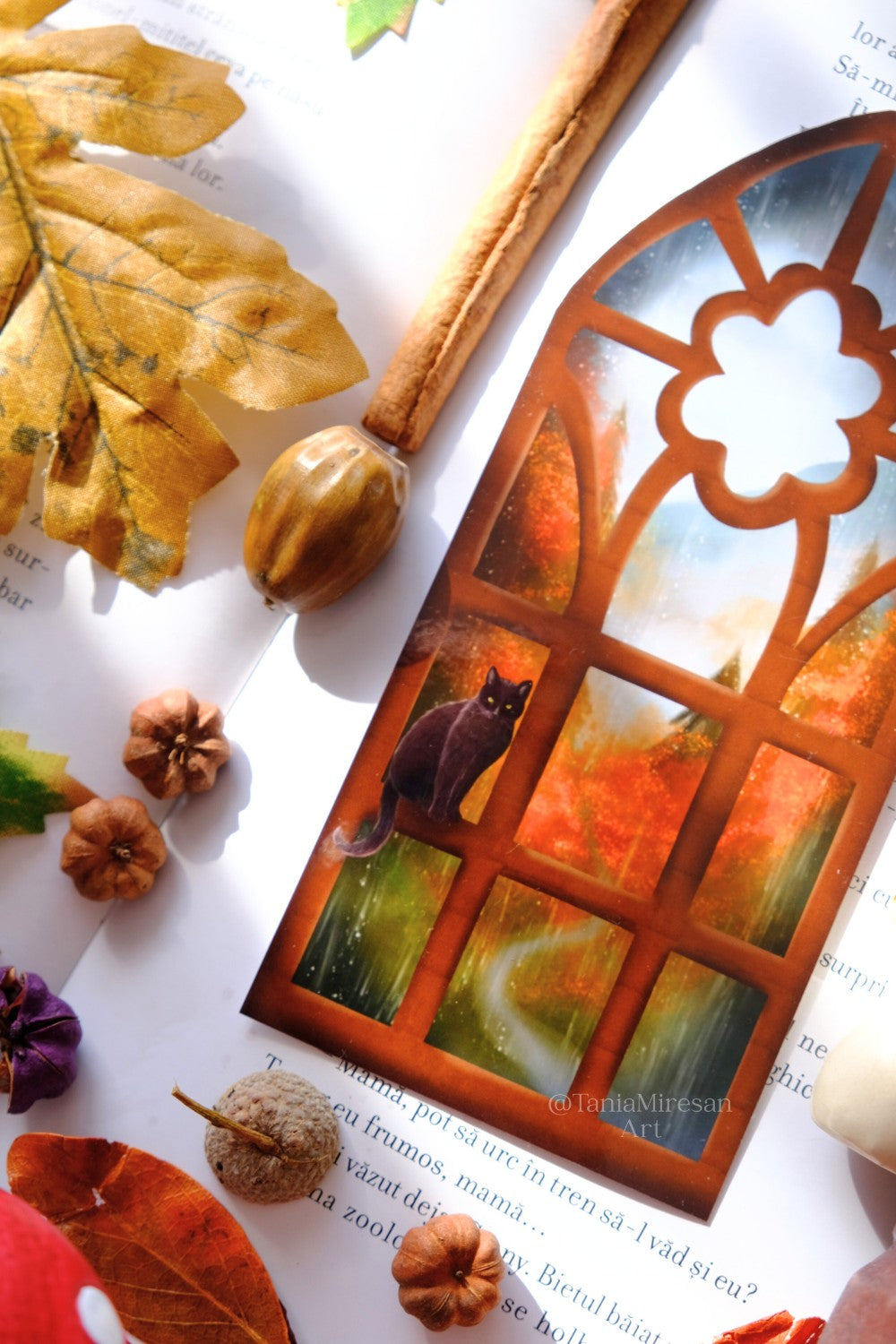 Cat & Rainy Window Bookmark