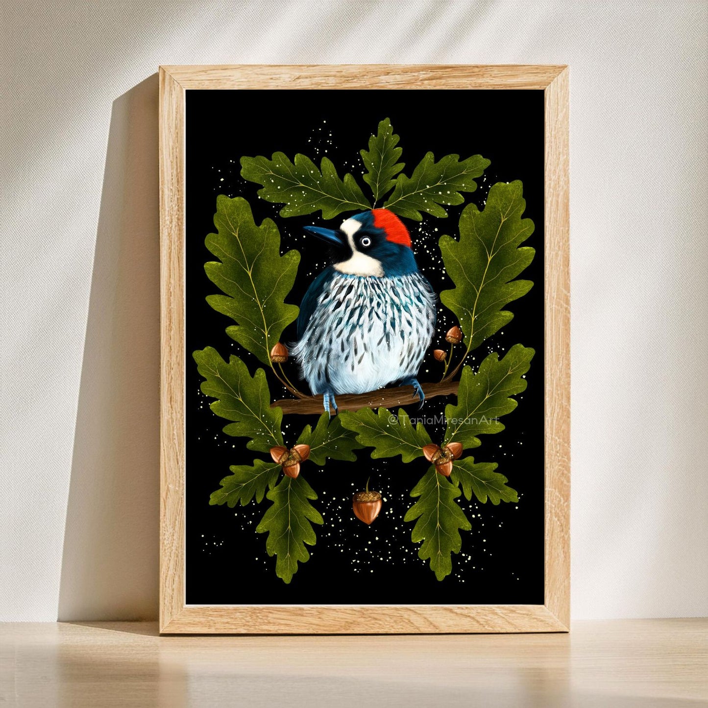 Acorn Woodpecker Fine Art Print