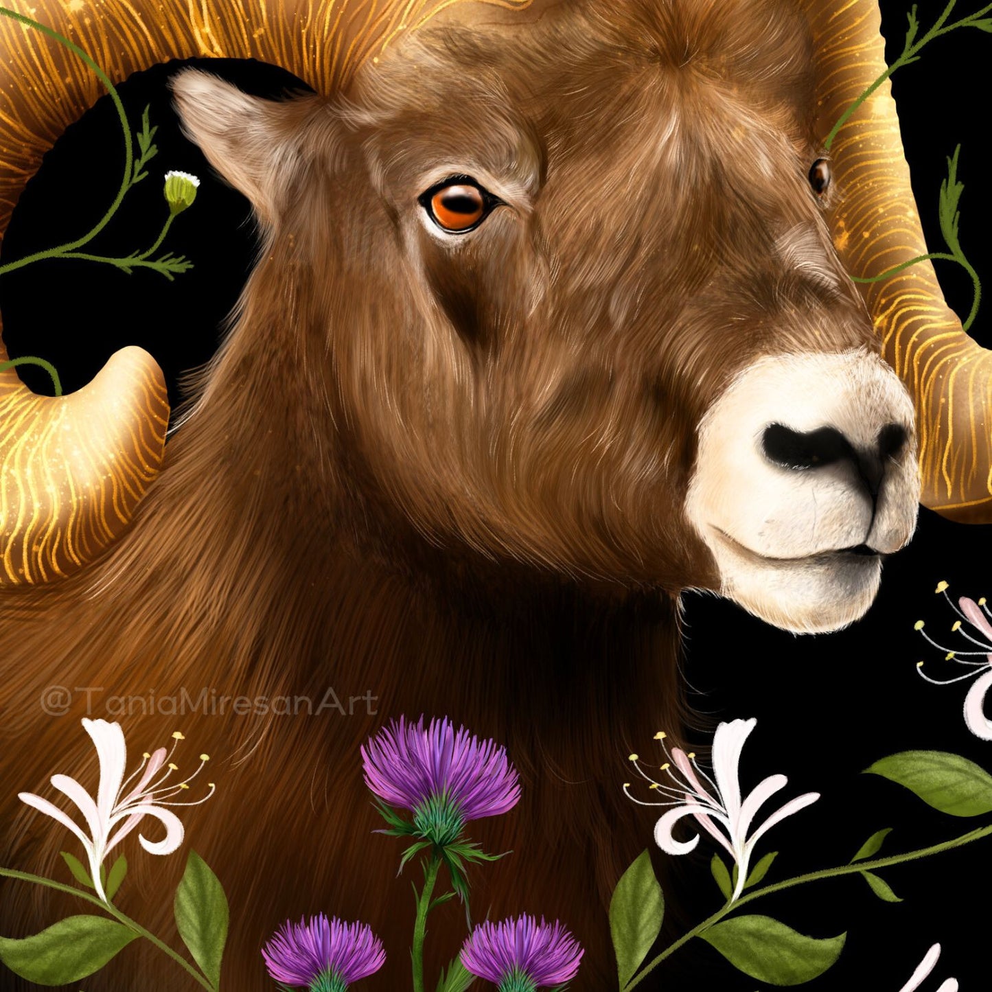 Aries Fine Art Print