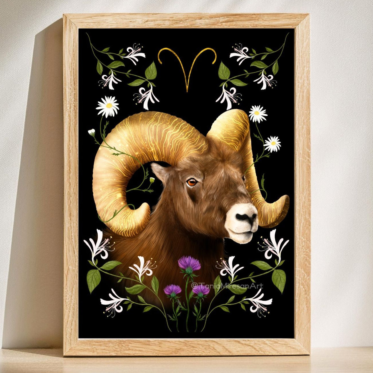 Aries Fine Art Print
