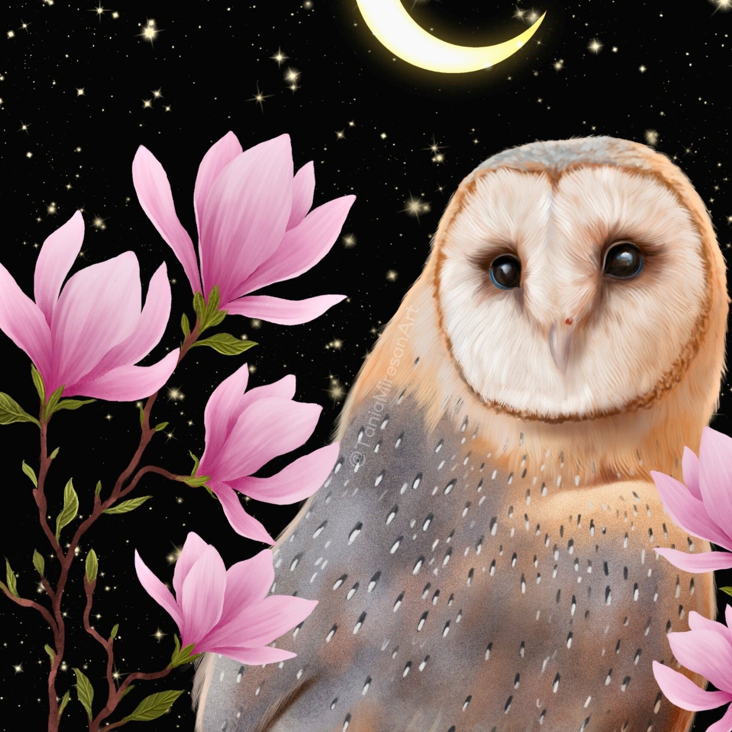 Barn Owl & Magnolia Fine Art Print