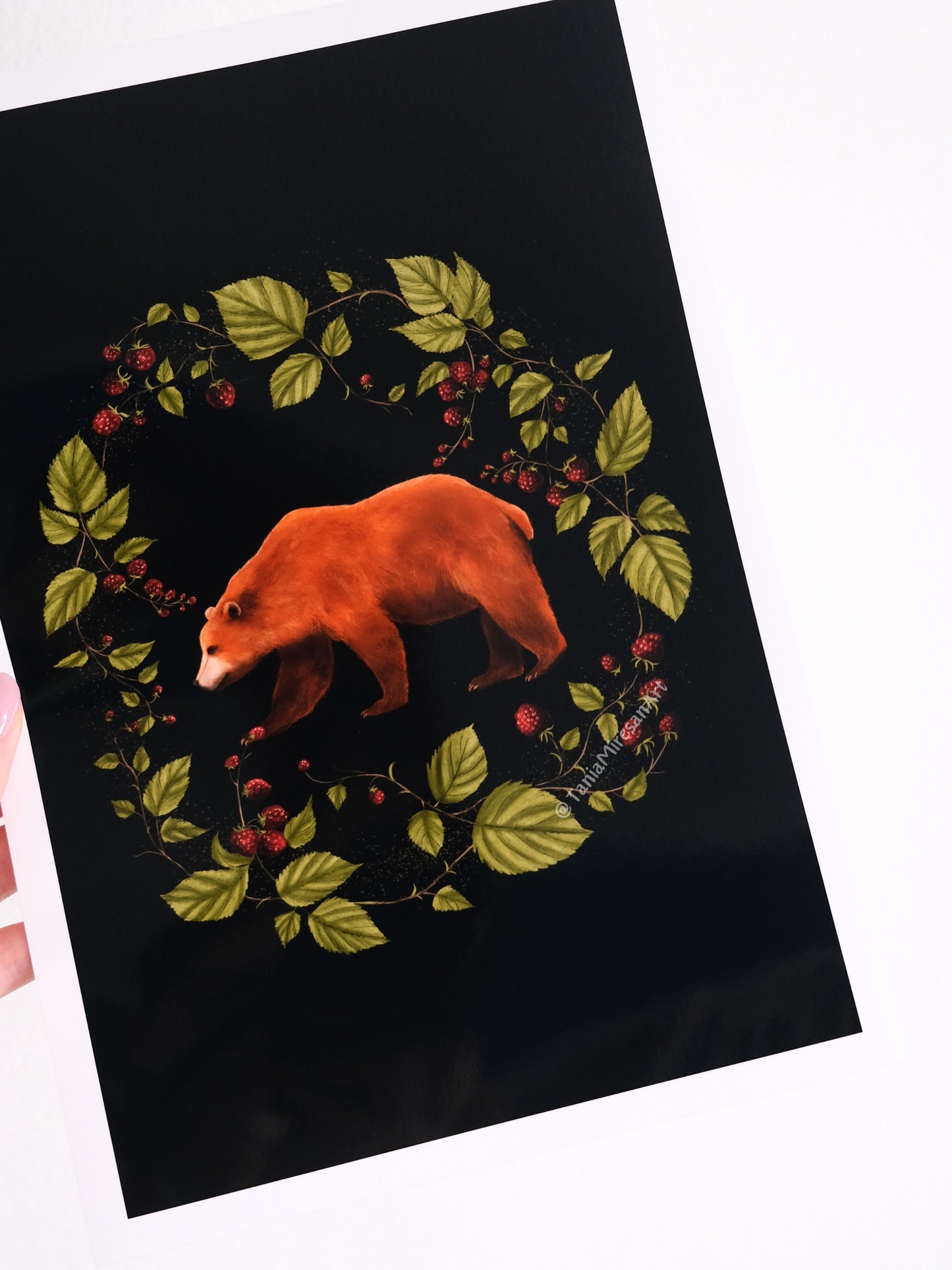 Bear & Raspberry Glossy Print
