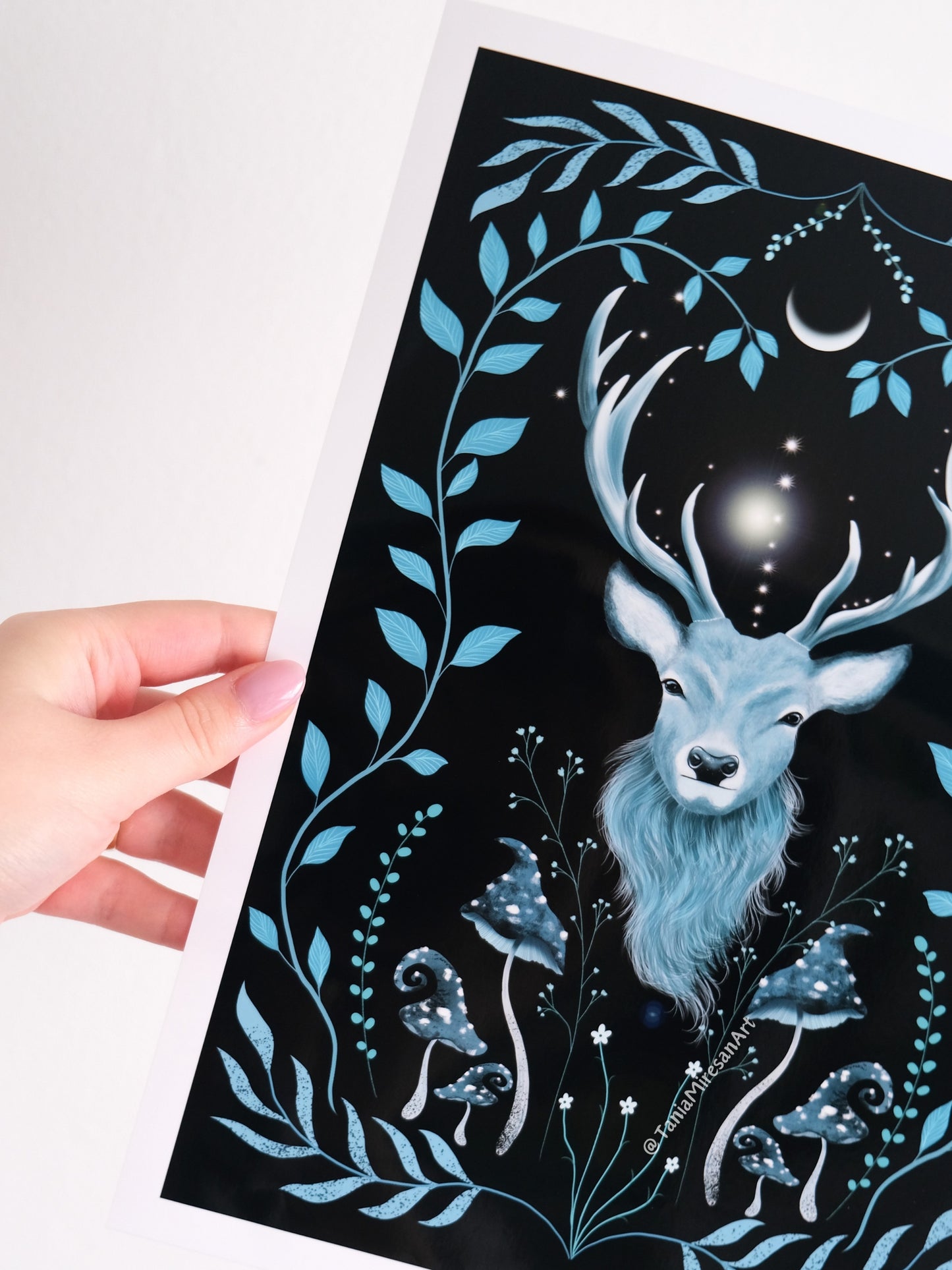 Blue Stag Glossy Print