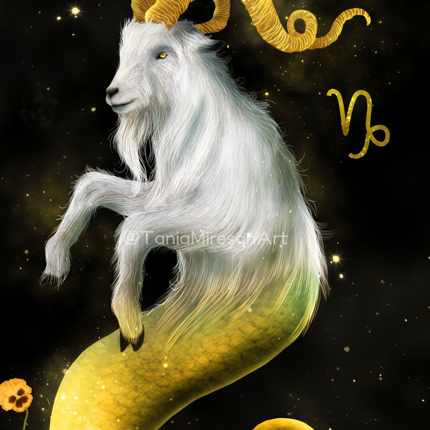 Capricorn Fine Art Print
