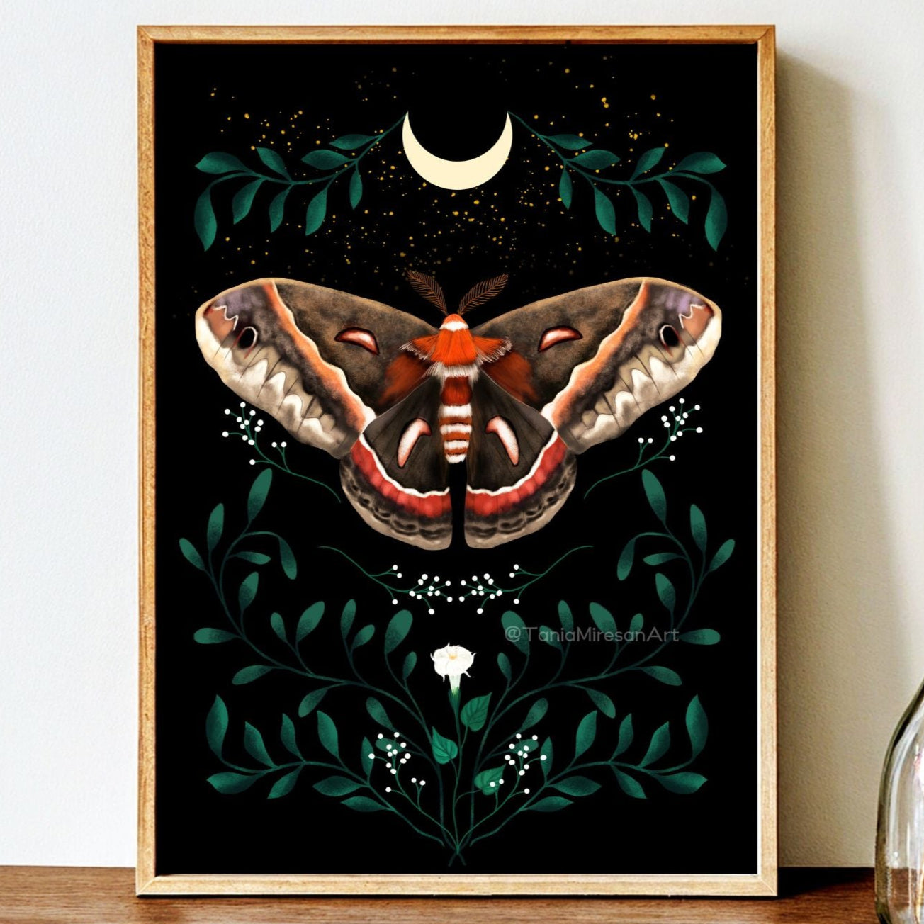 Cecropia Moth Fine Art Print
