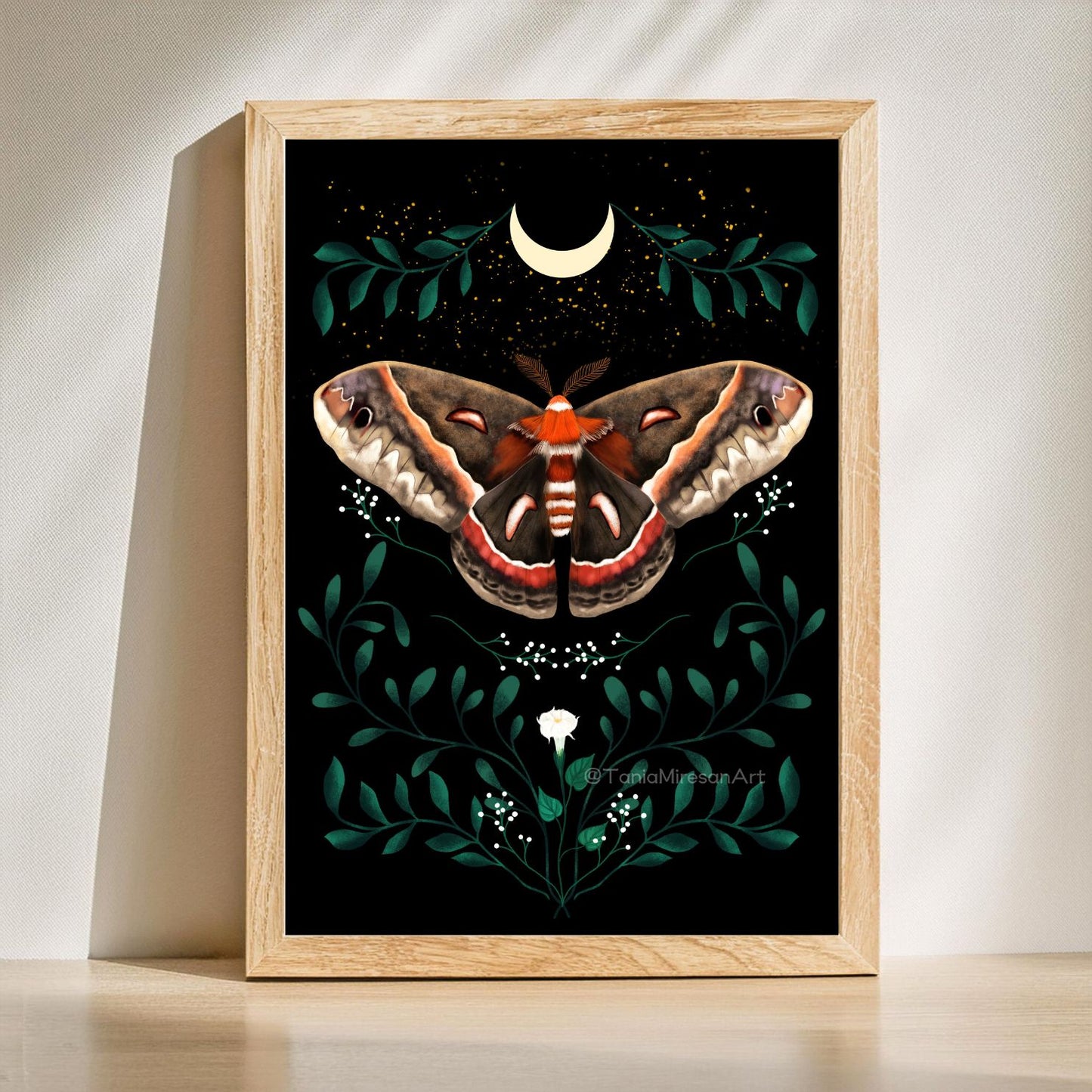 Cecropia Moth Fine Art Print