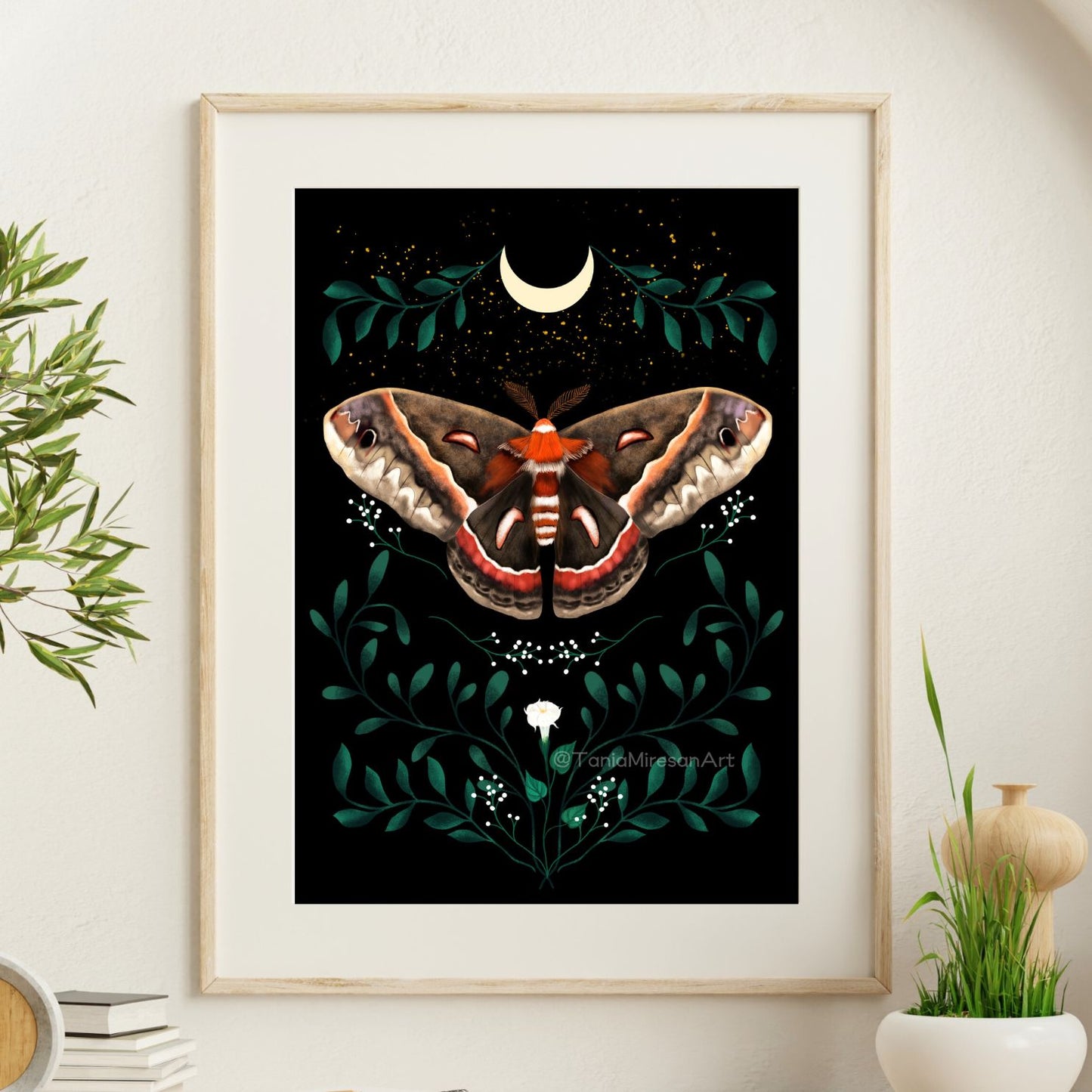Cecropia Moth Fine Art Print