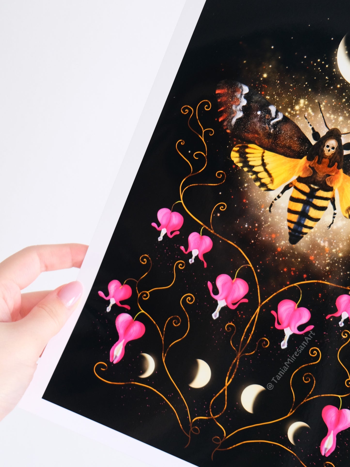 Death's-head hawkmoth Glossy Print