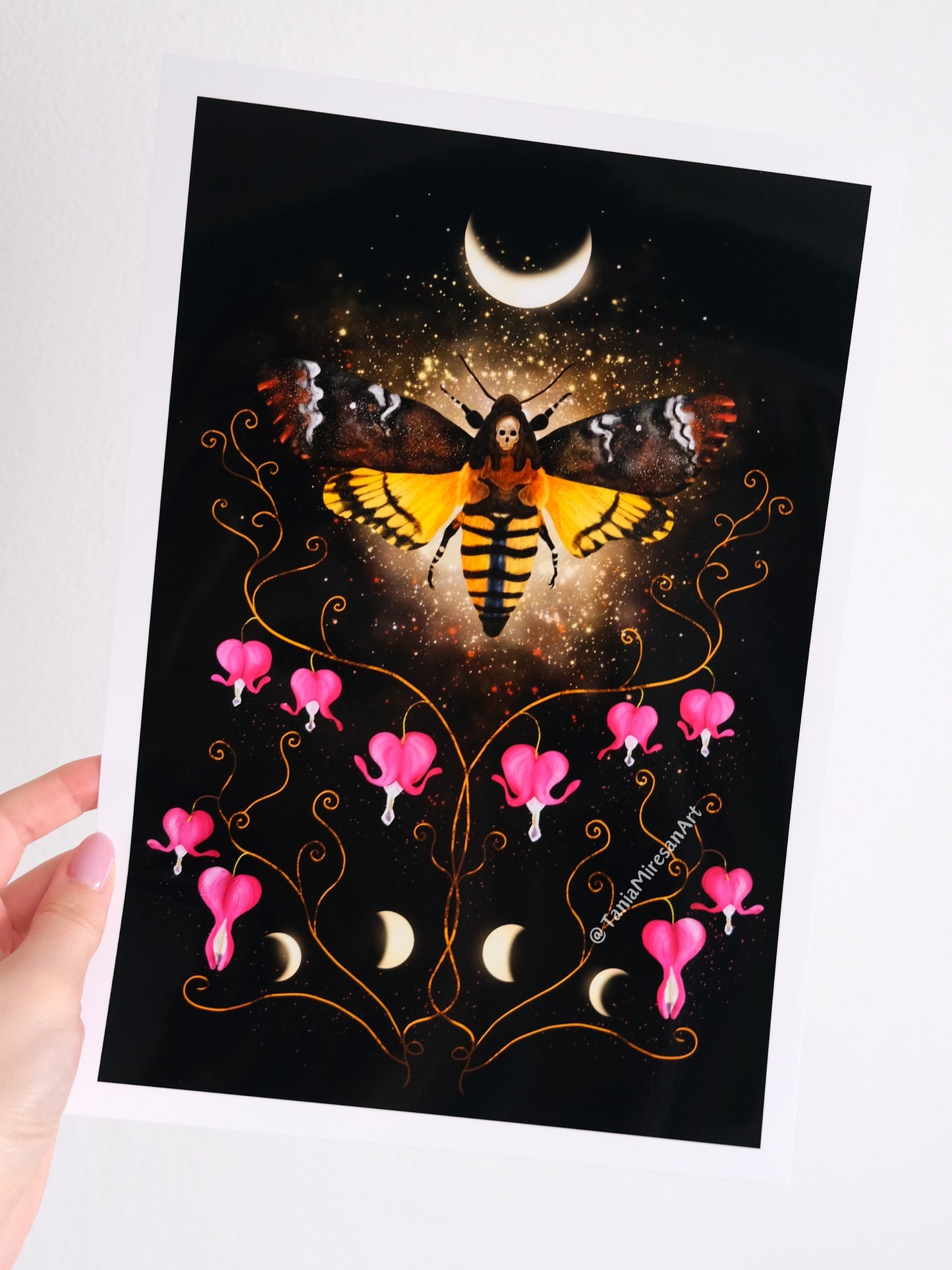 Death's-head hawkmoth Glossy Print