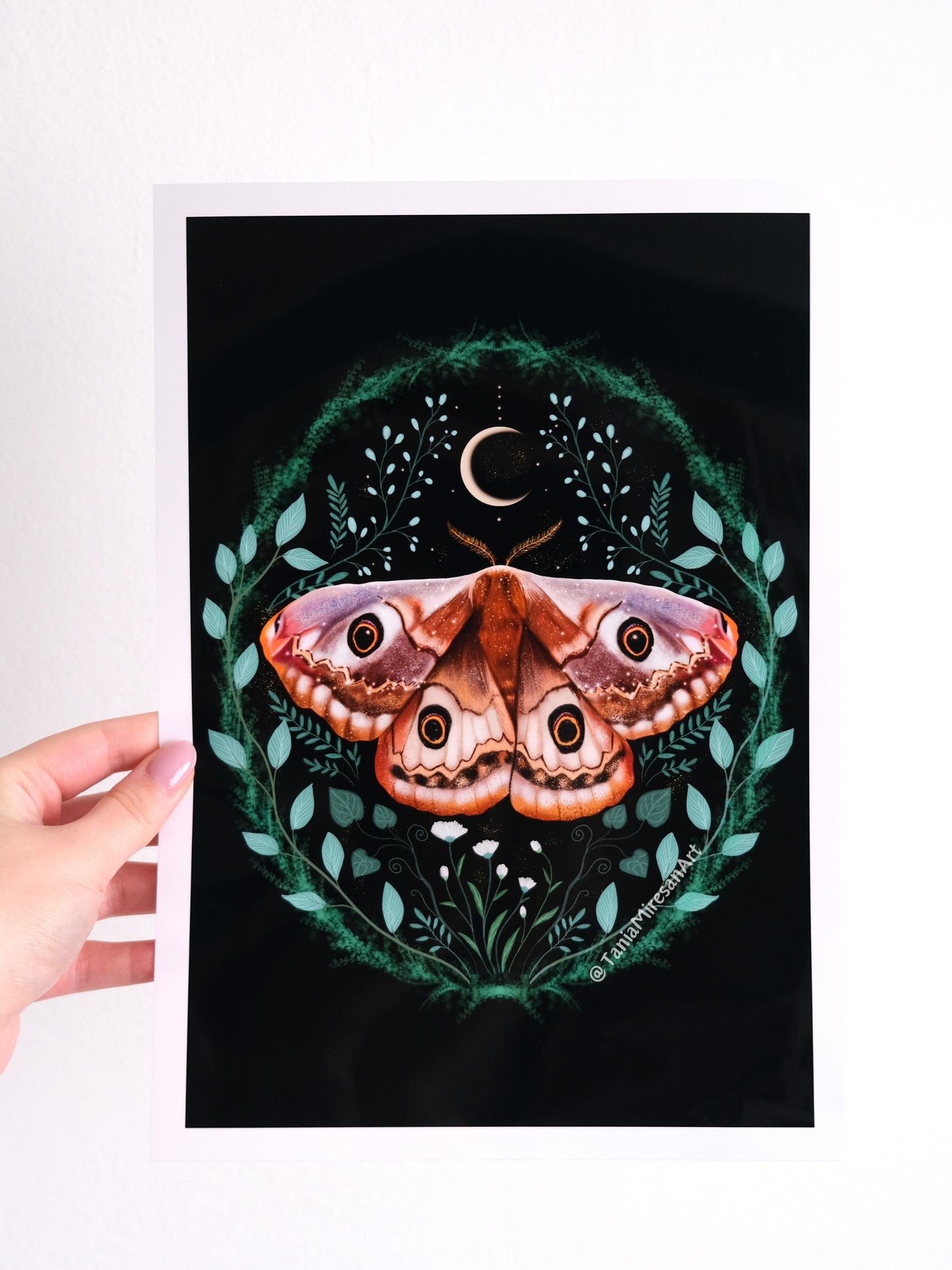 Small Emperor Moth Glossy Print
