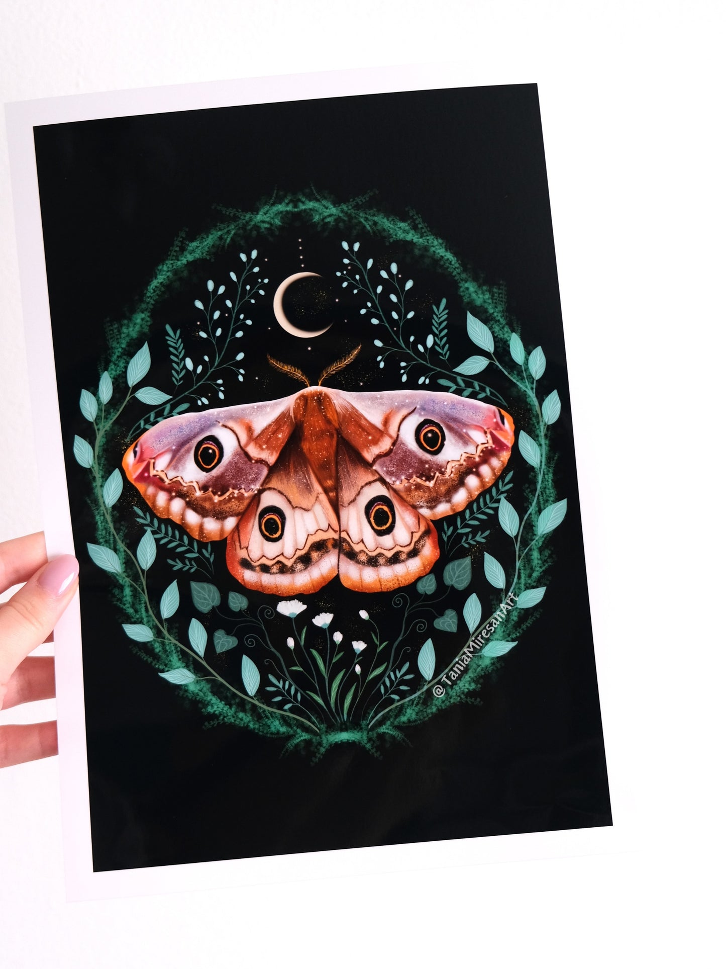 Small Emperor Moth Glossy Print