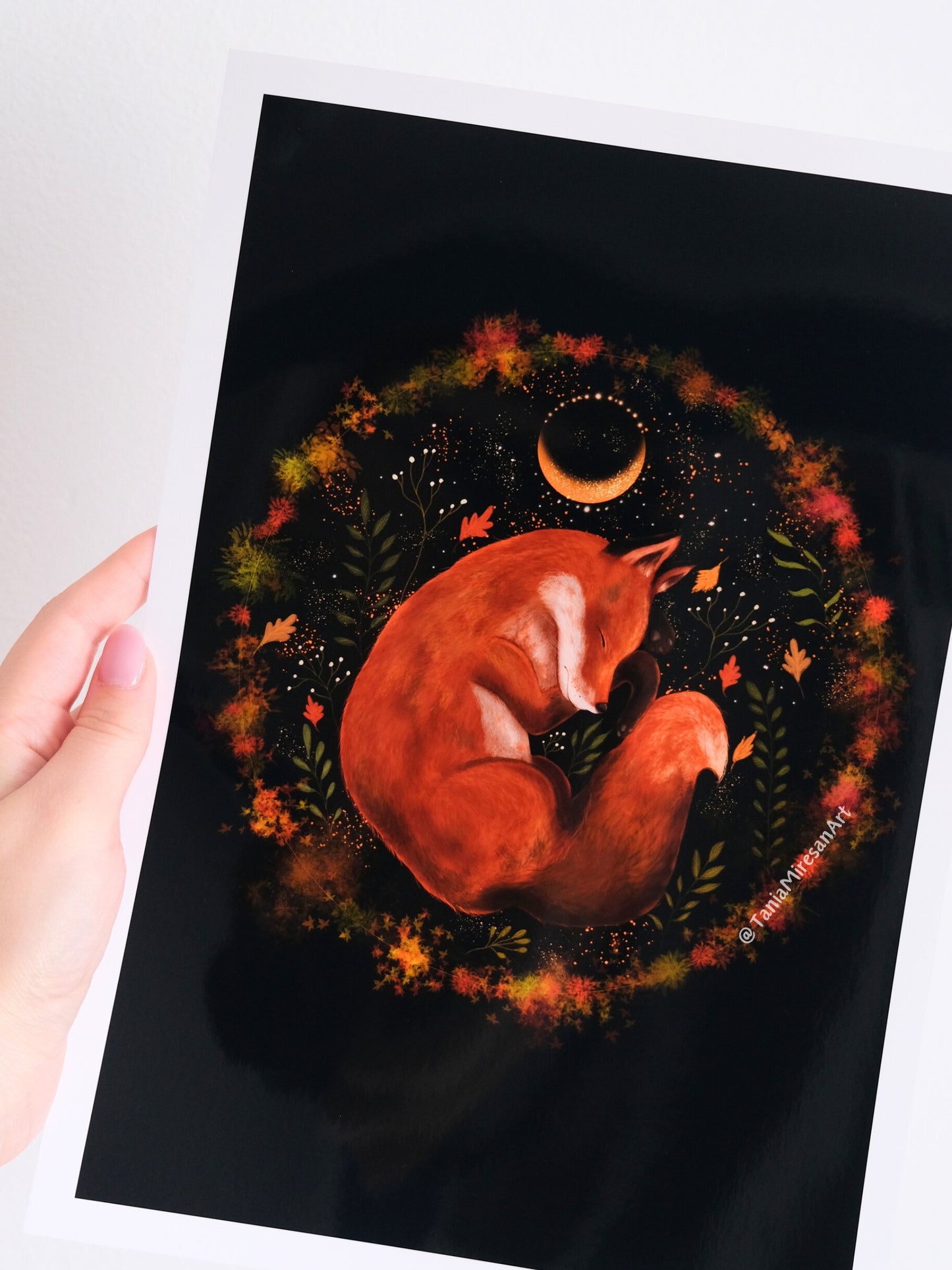 Fox Sleeping Glossy Print