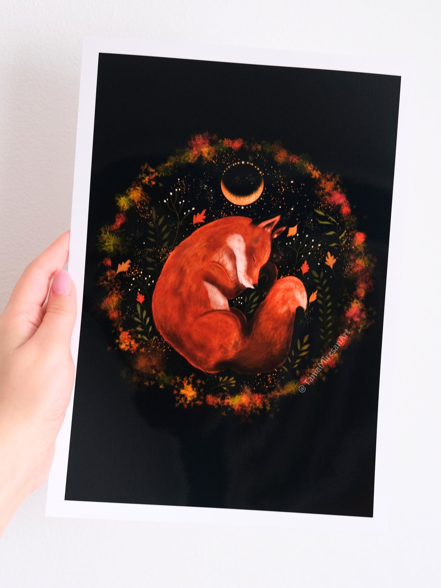 Fox Sleeping Glossy Print