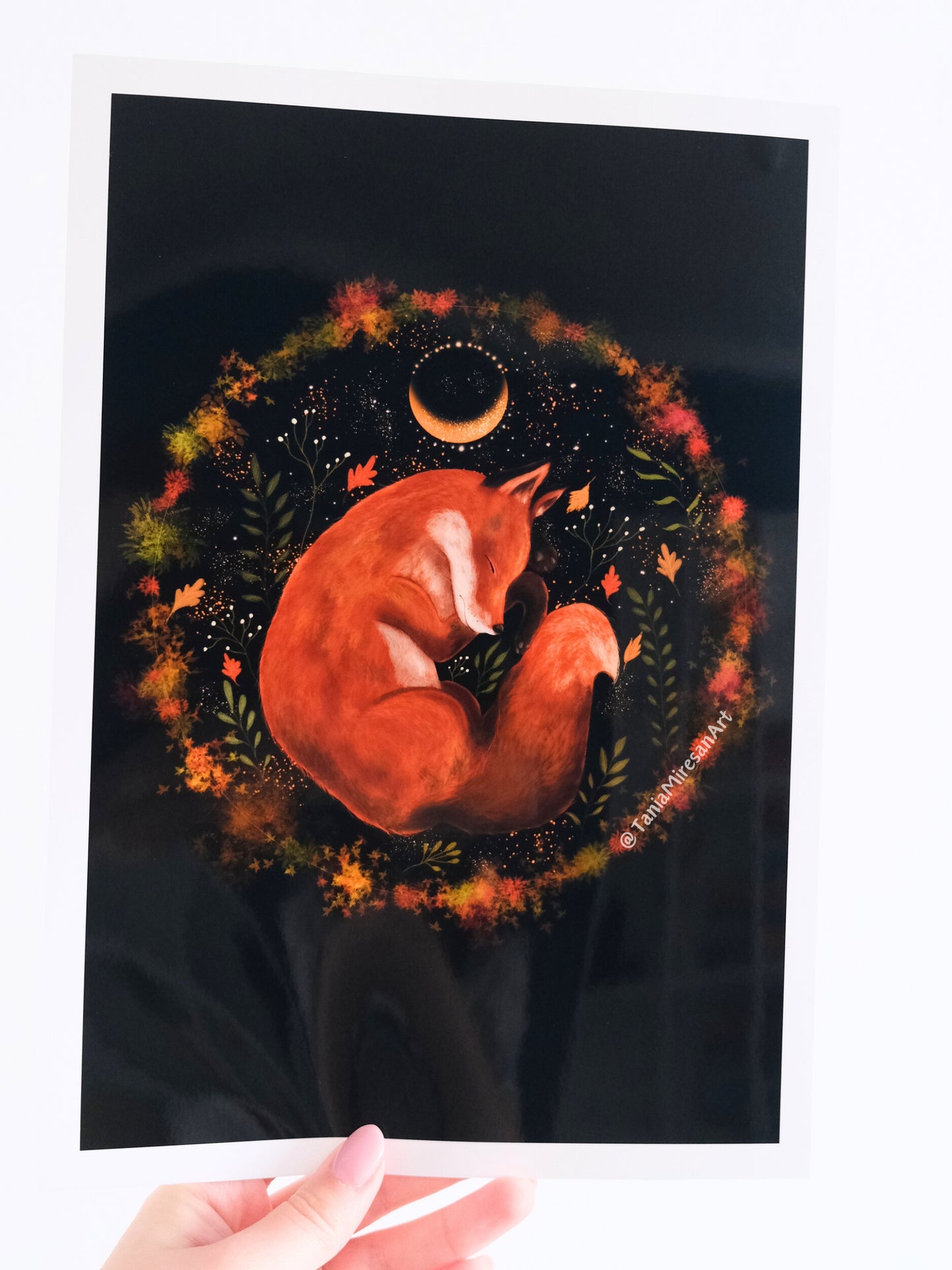 Fox Sleeping Glossy Print