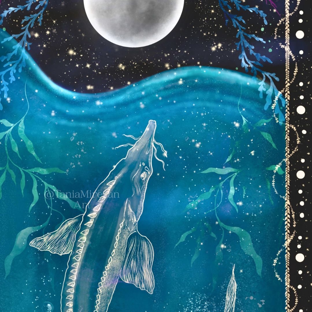 Full Sturgeon Moon Fine Art Print