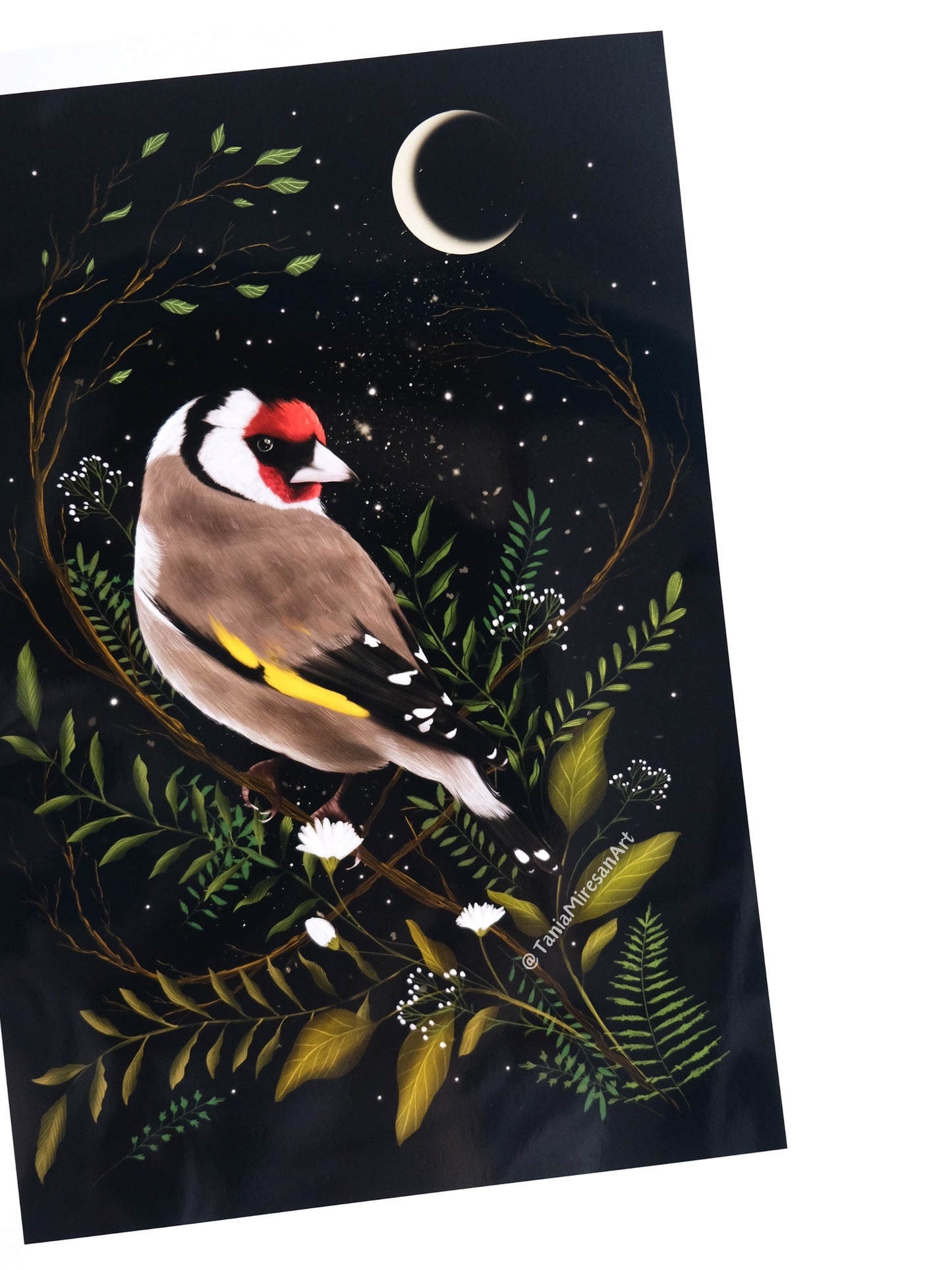 Goldfinch Glossy Print