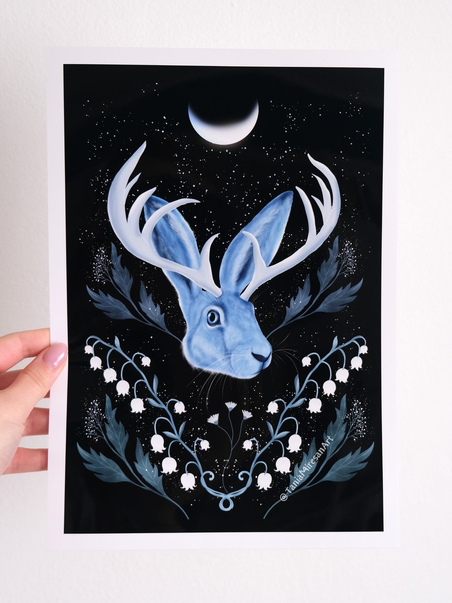 Jackalope Glossy Print