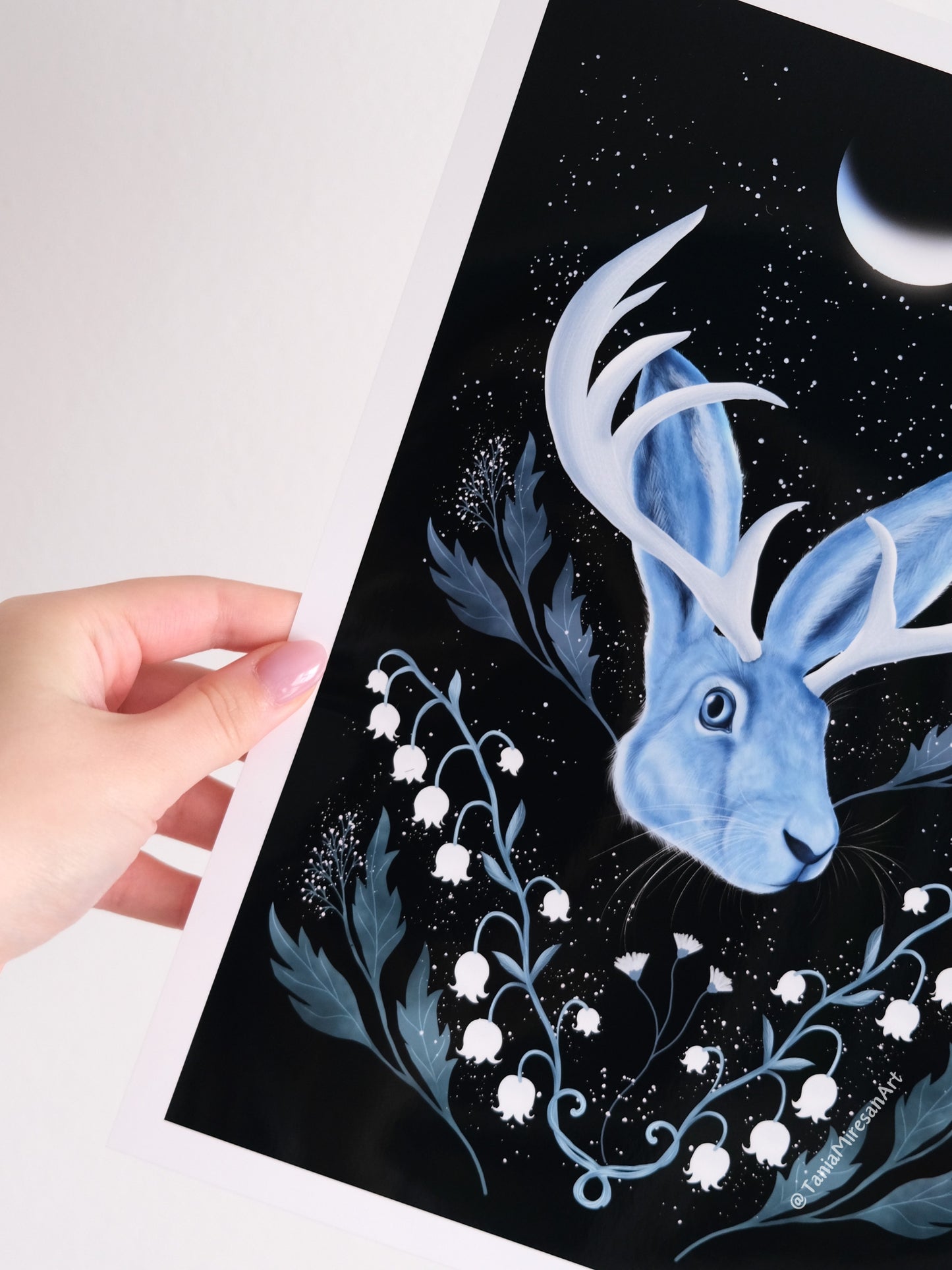 Jackalope Glossy Print