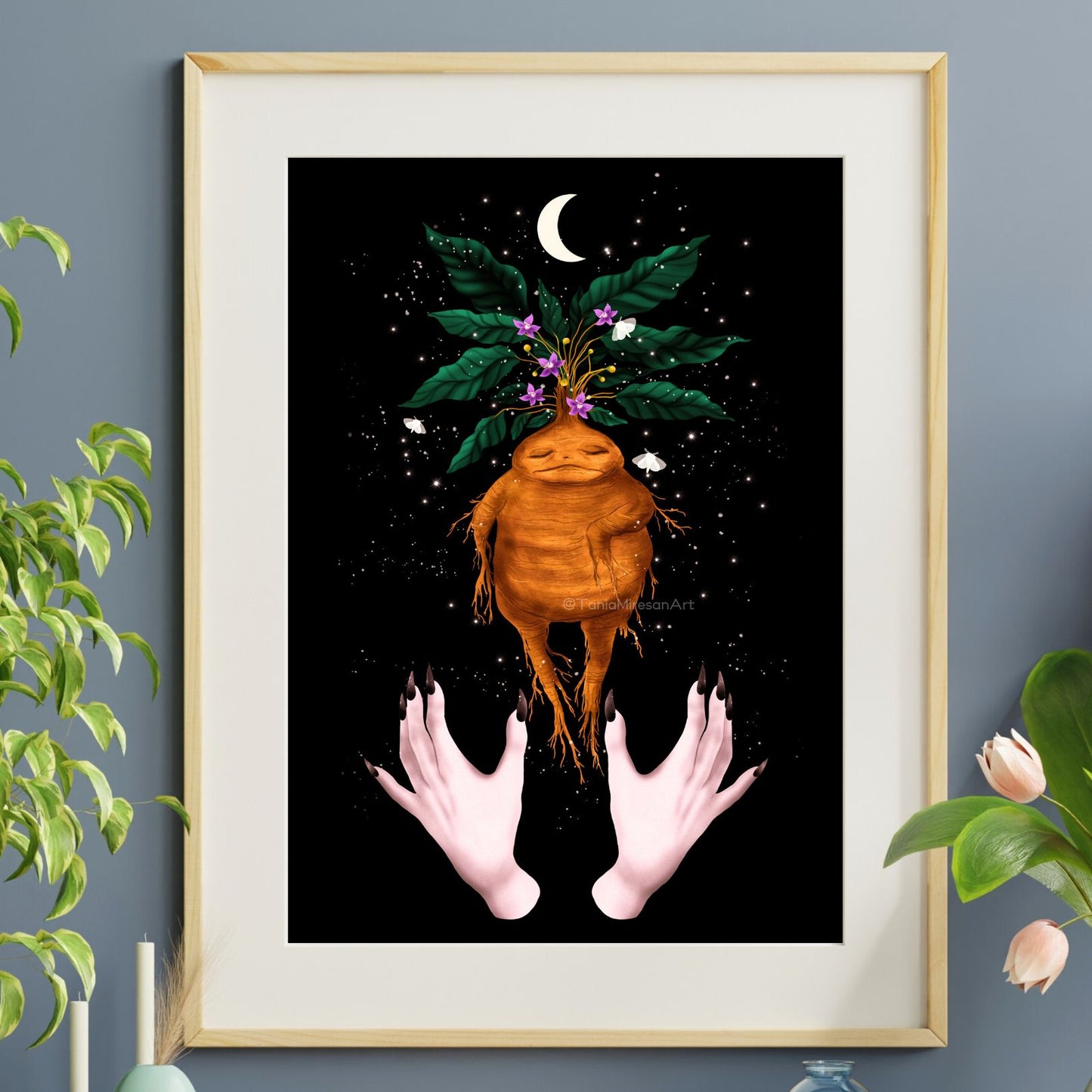 Mandrake Fine Art Print