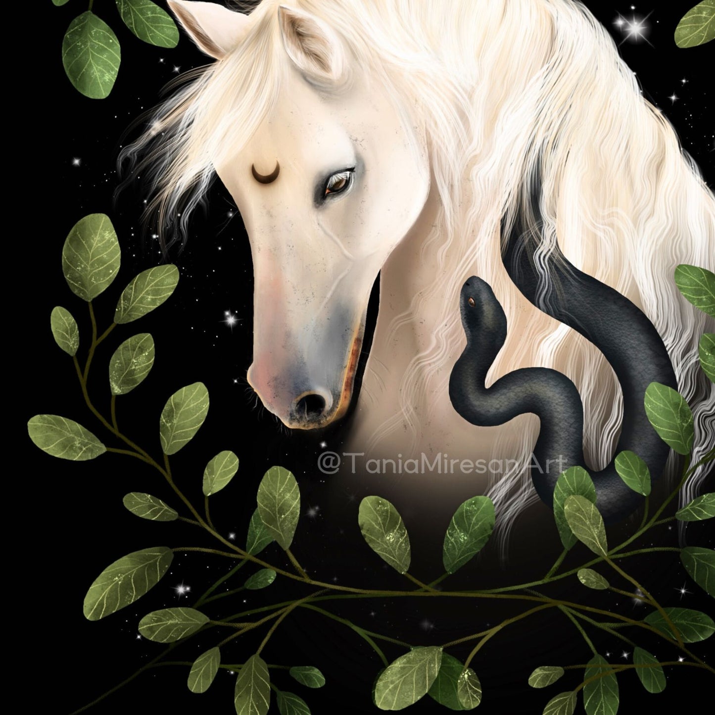 Midnight Horse Fine Art Print