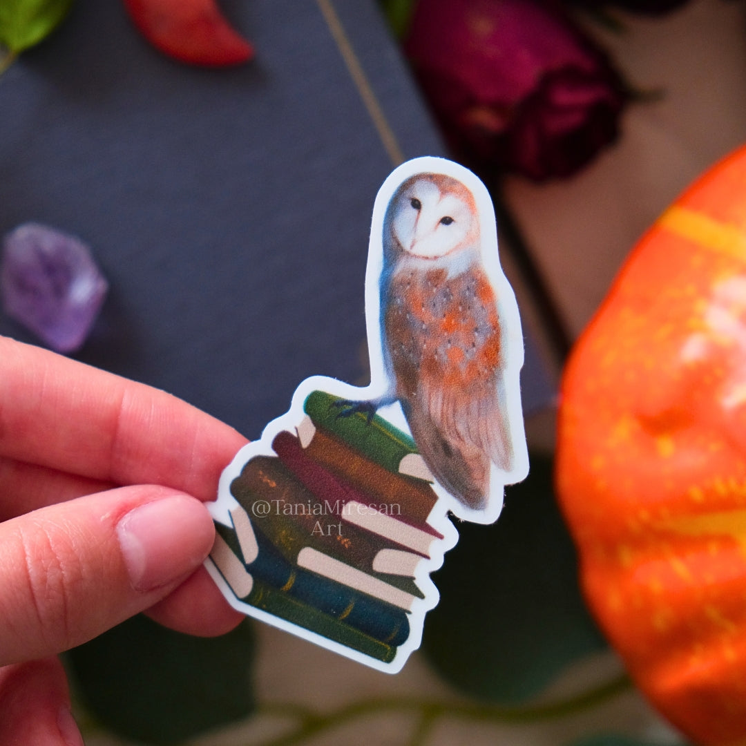 Owl and Books Sticker