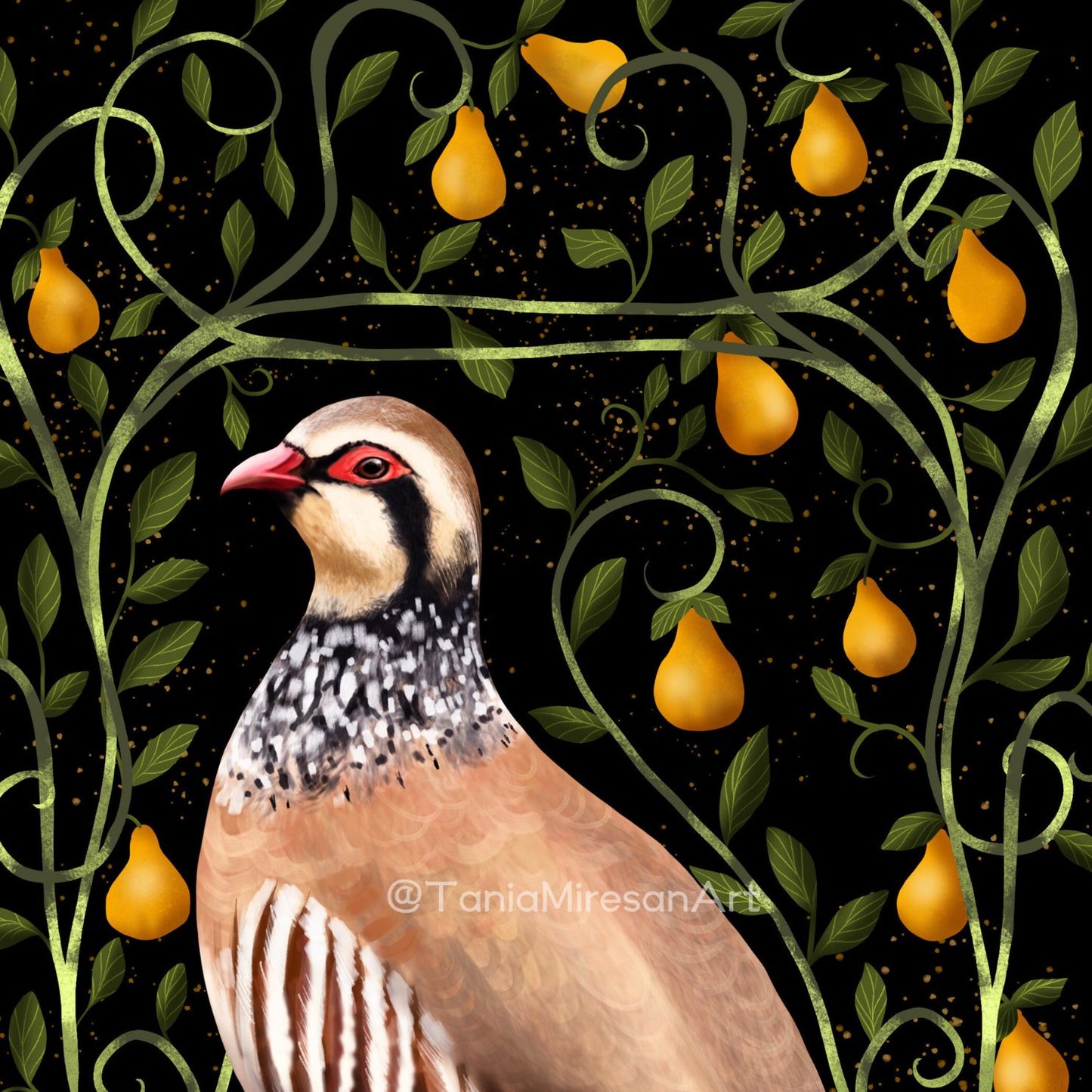 Partridge in a Pear Tree Fine Art Print