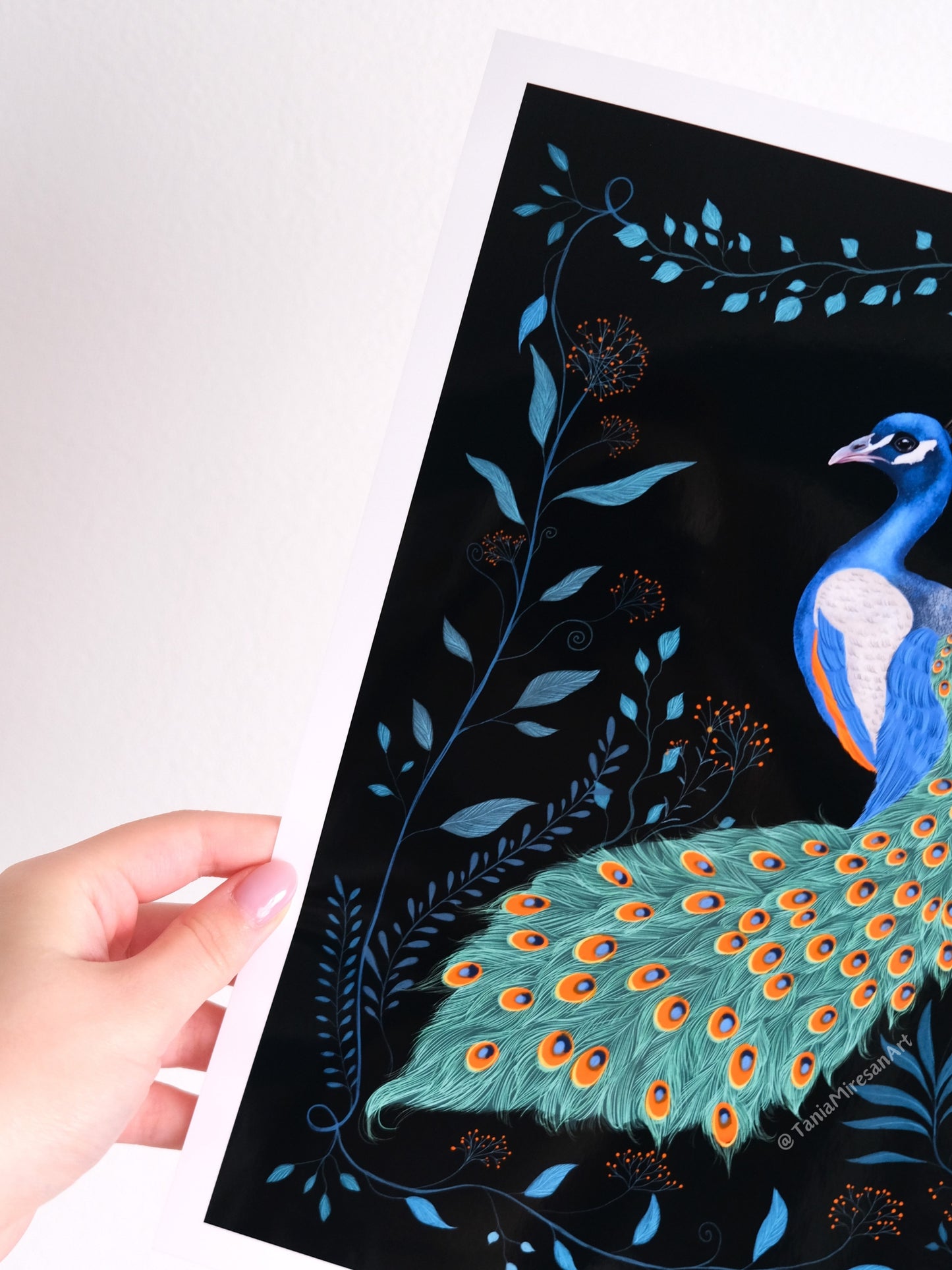 Peacock Glossy Print