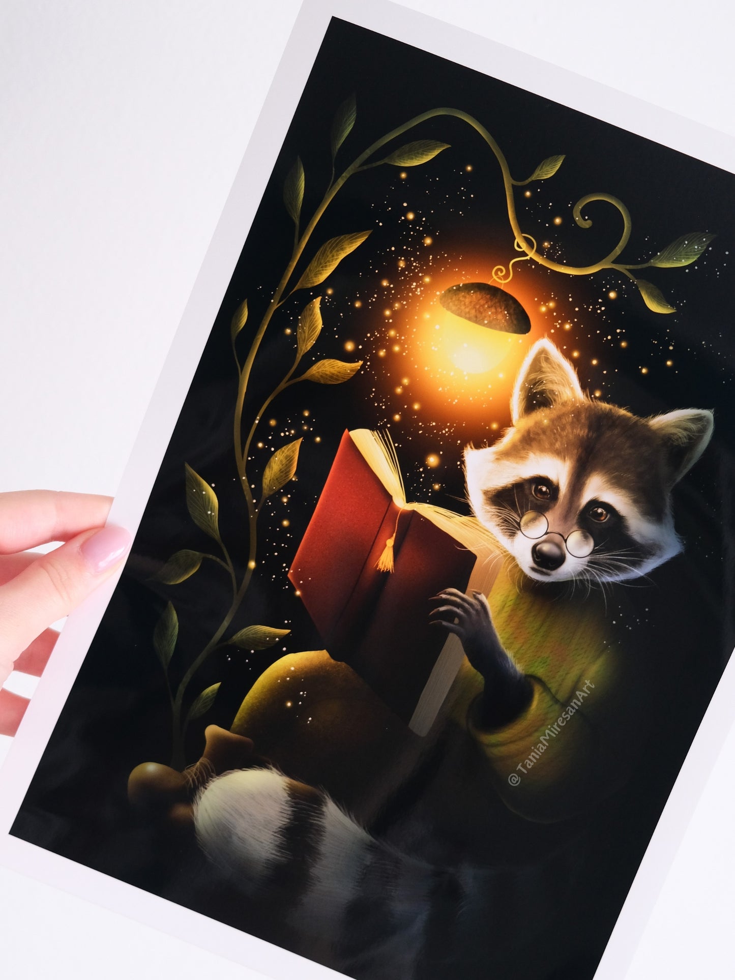 Raccoon Reading Glossy Print