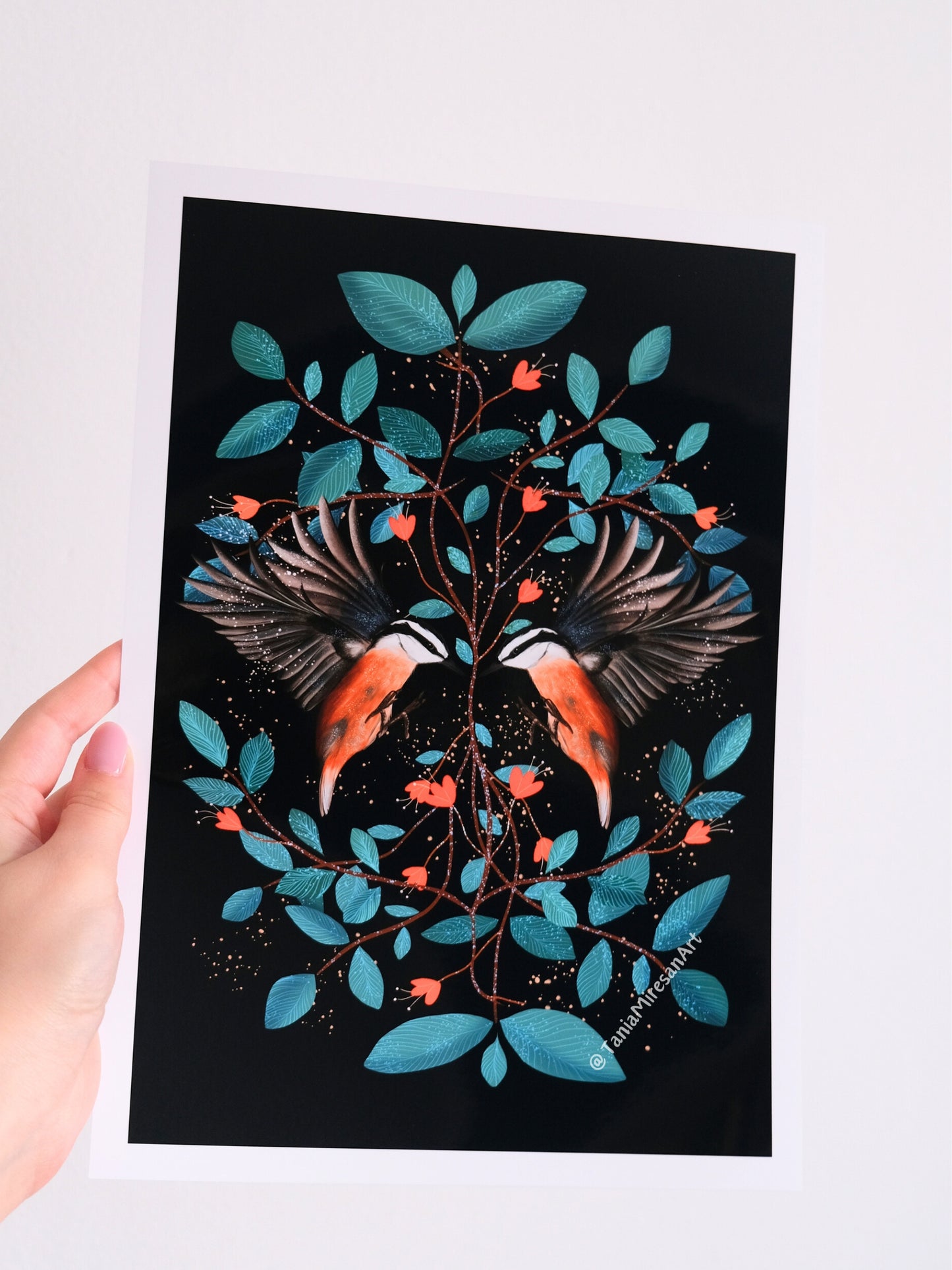 Red-breasted Nuthatch Glossy Print