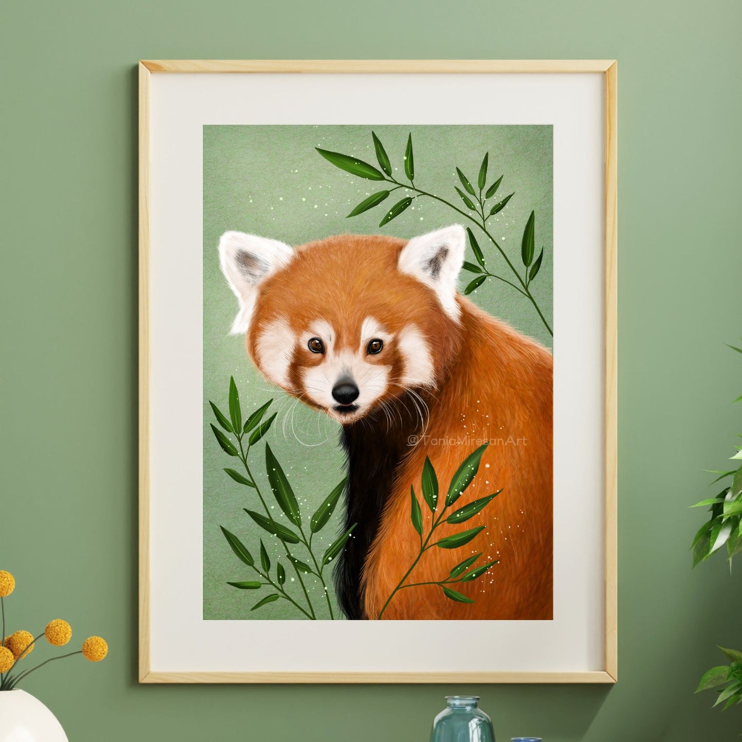 Red Panda Fine Art Print