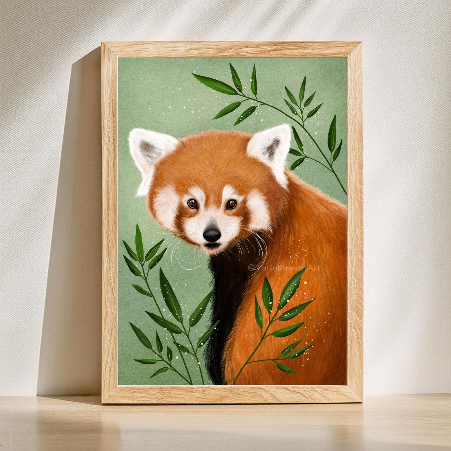 Red Panda Fine Art Print