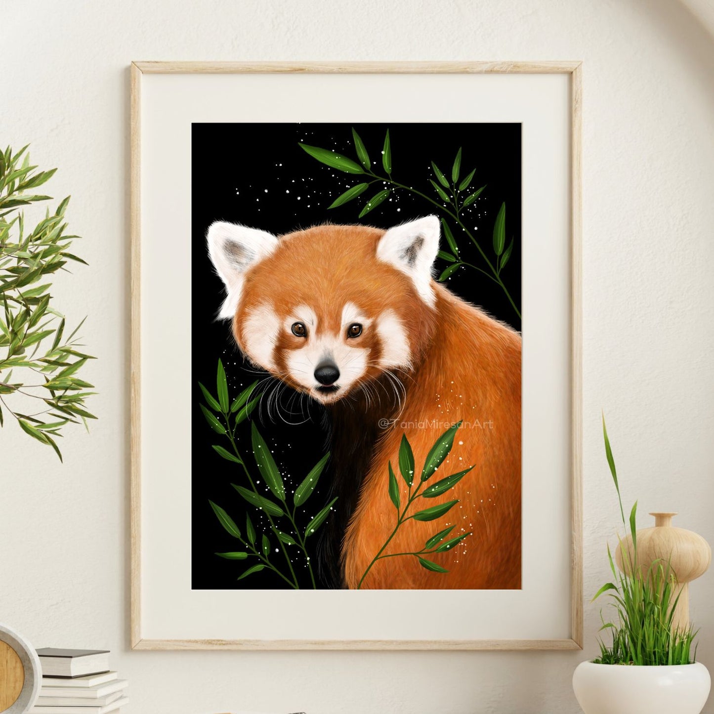 Red Panda Fine Art Print