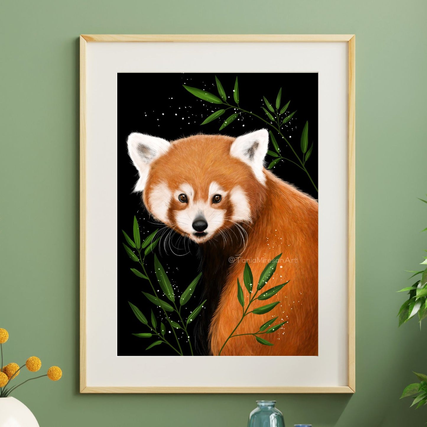 Red Panda Fine Art Print