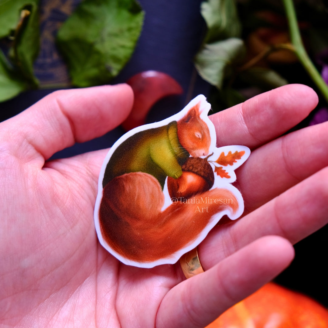 Sleeping Squirrel Sticker