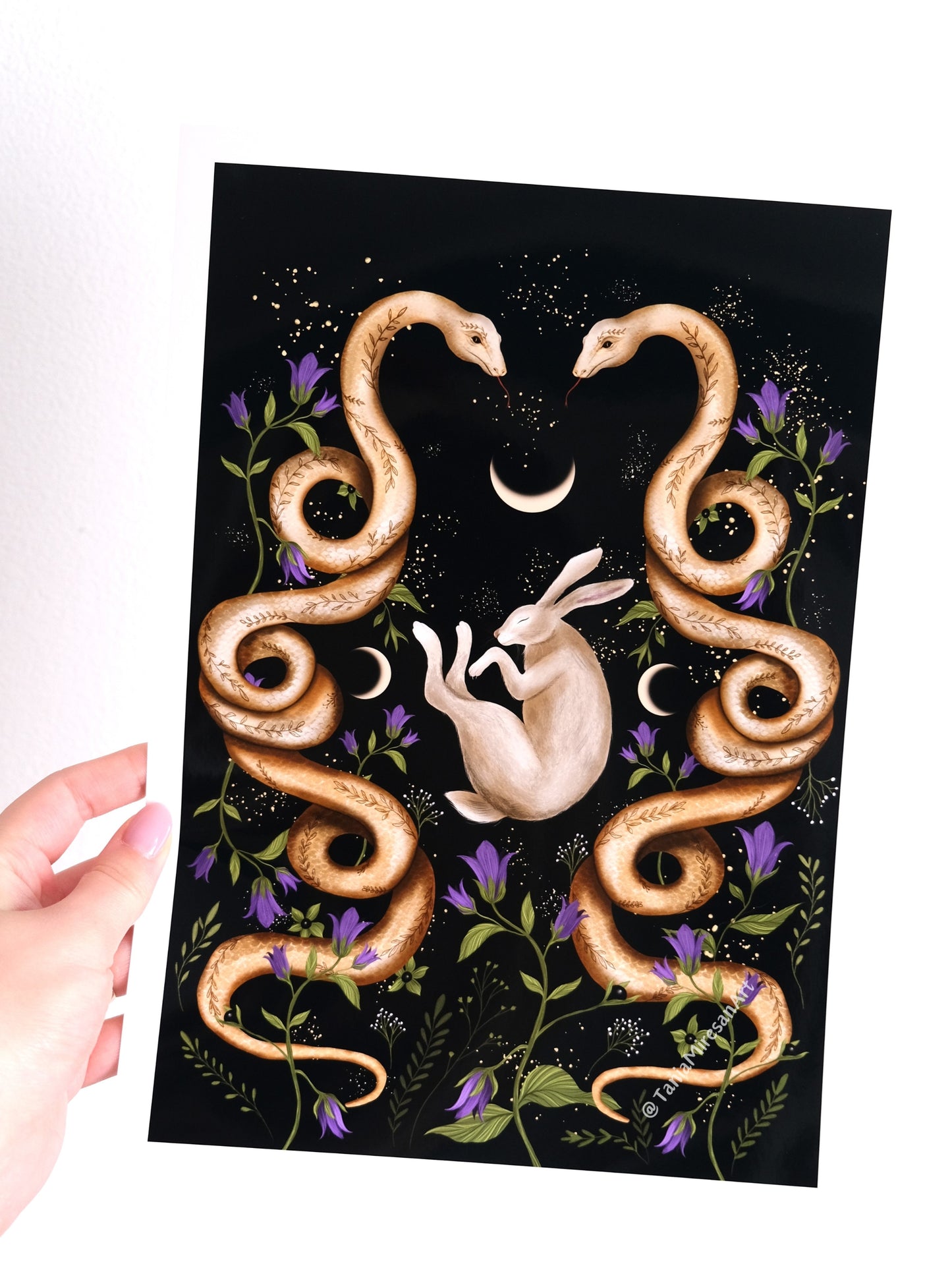 Snake & Hare Glossy Print
