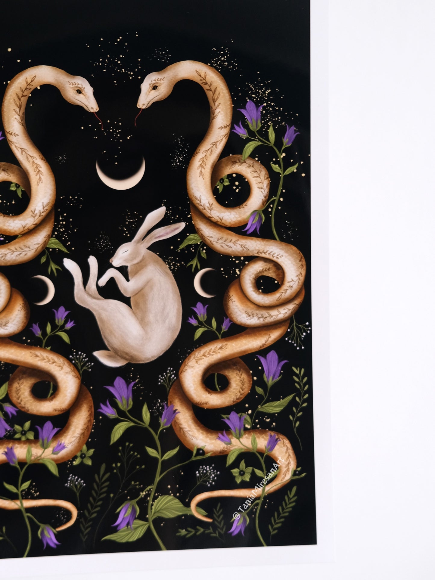 Snake & Hare Glossy Print