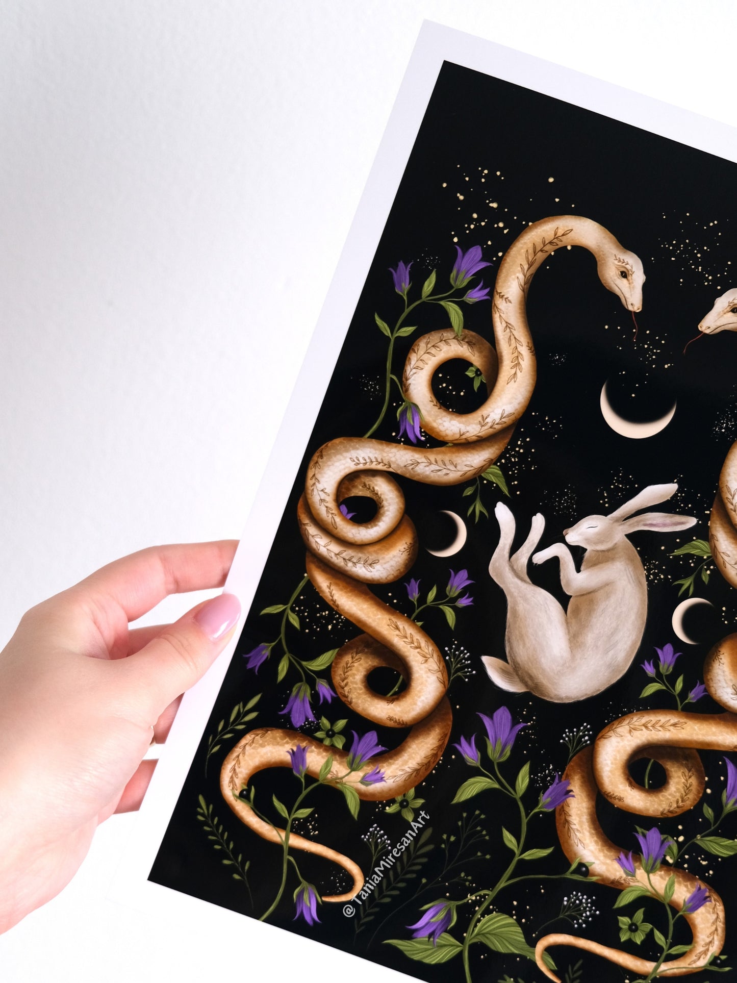 Snake & Hare Glossy Print
