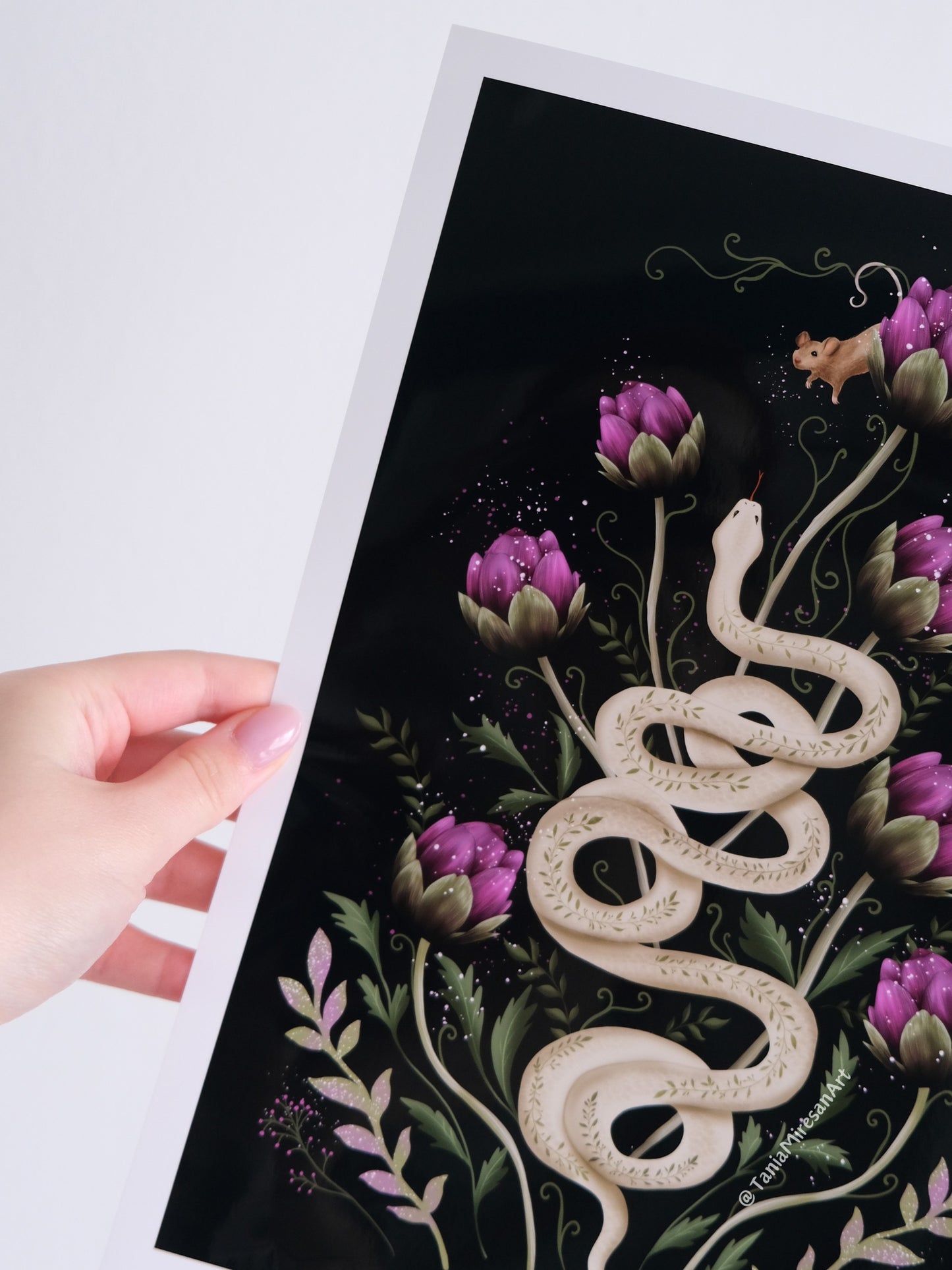 Snake & Mouse Glossy Print