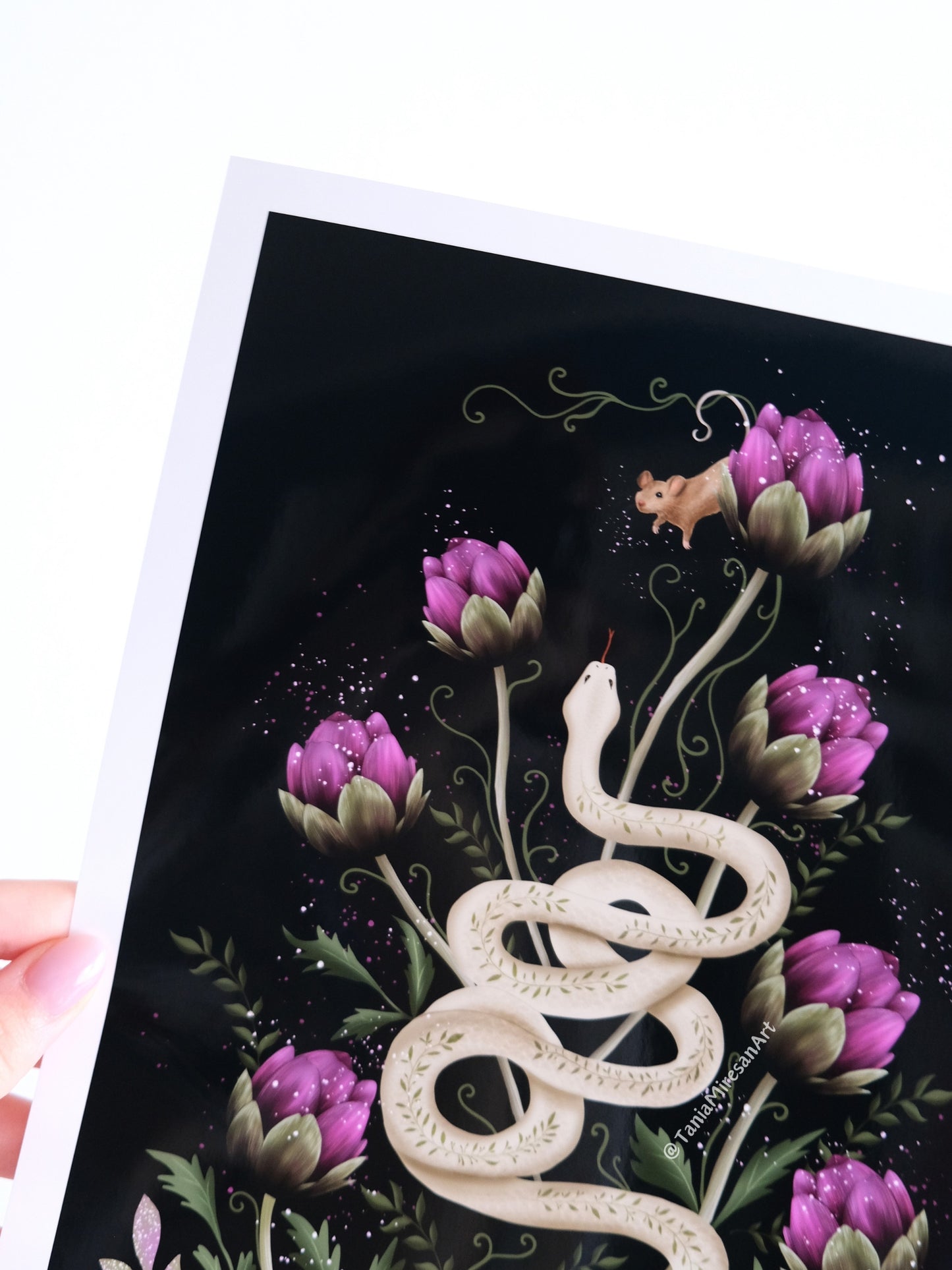 Snake & Mouse Glossy Print