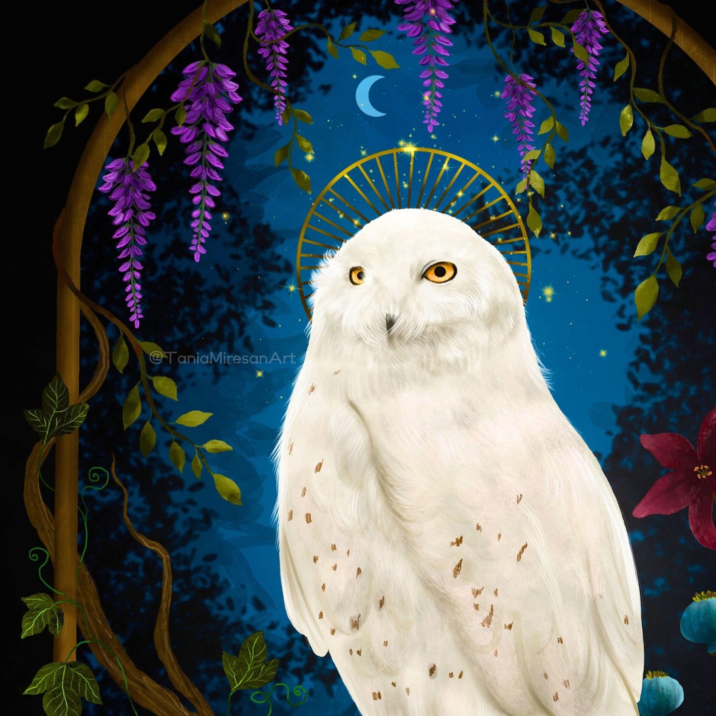 Snowy Owl Fine Art Print