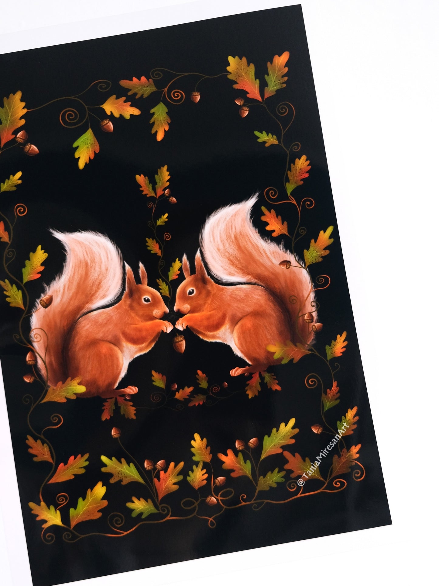 Squirrel Couple Glossy Print
