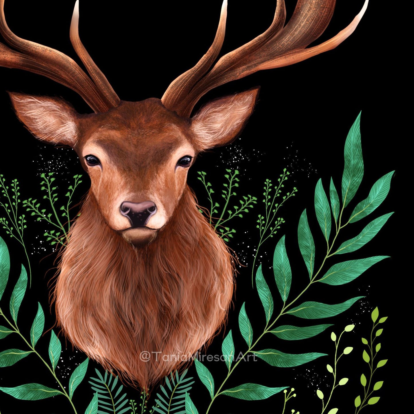 Stag Fine Art Print