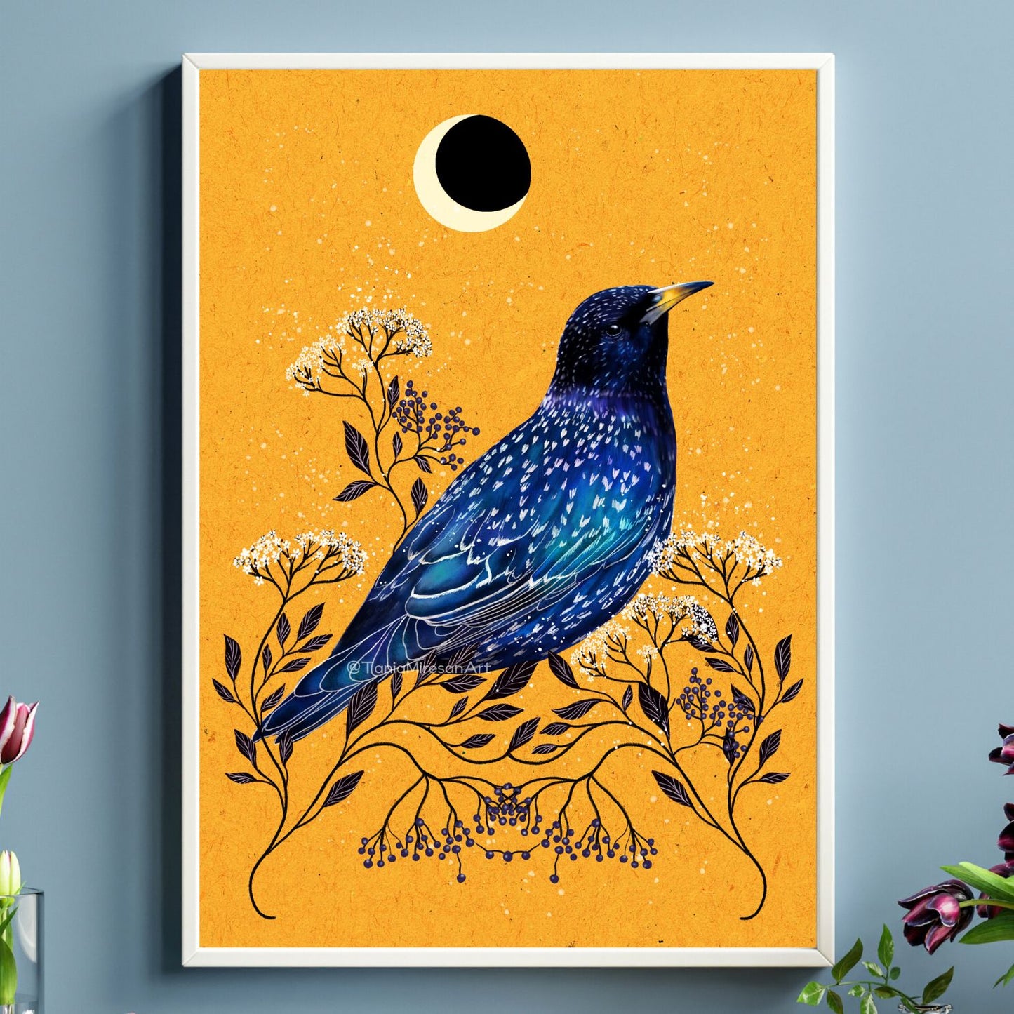 Starling Fine Art Print