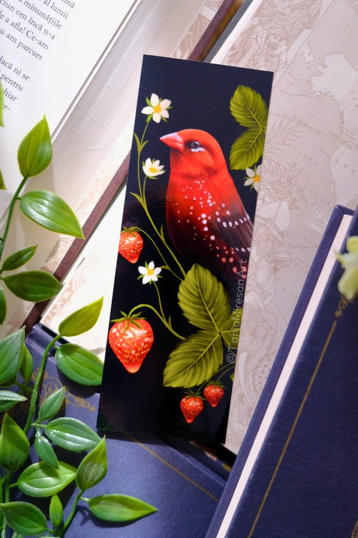 Strawberry Finch Bookmark