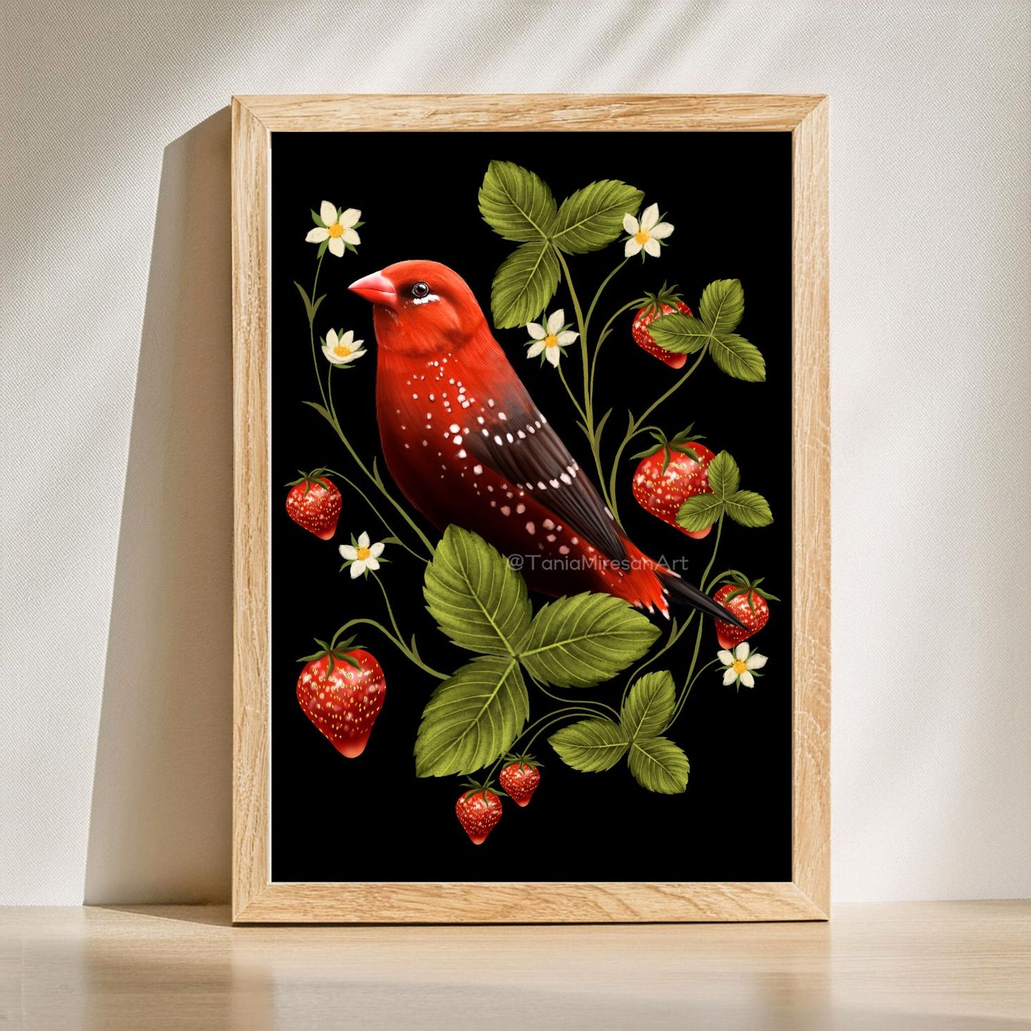 Strawberry Finch Fine Art Print