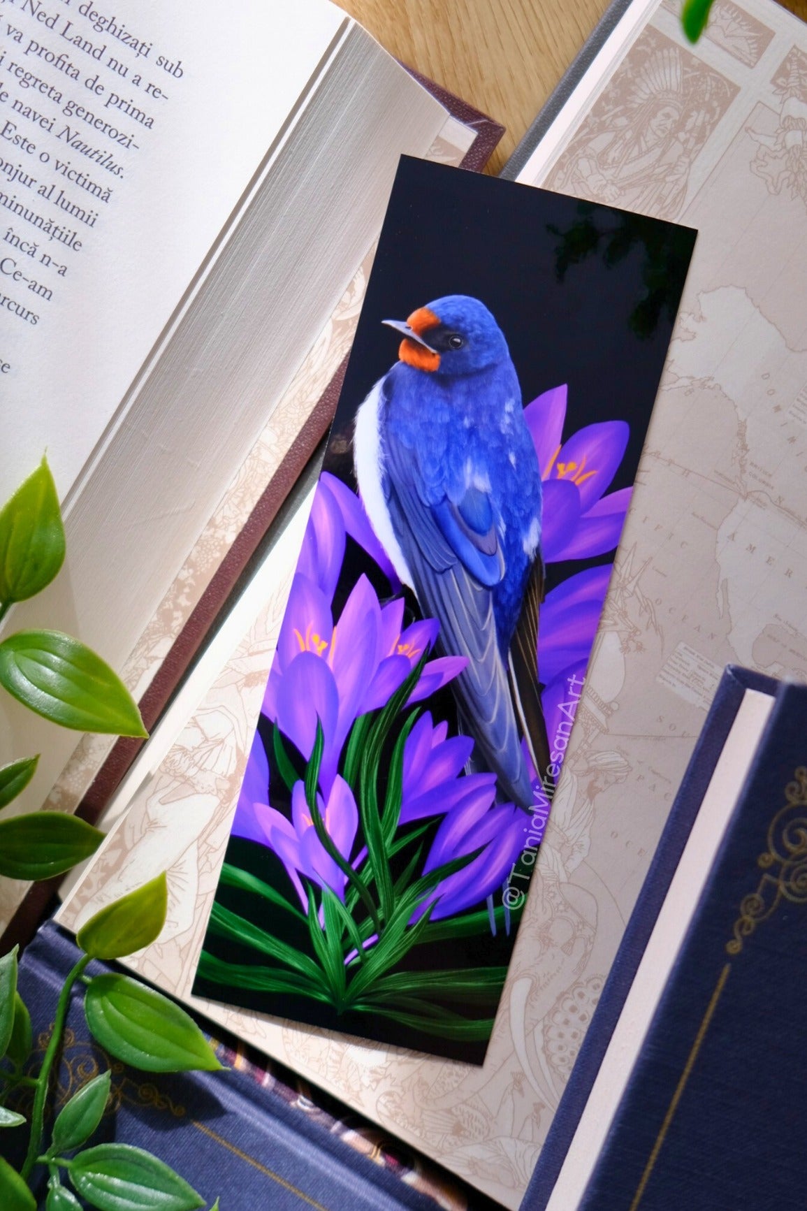 Barn Swallow Bookmark