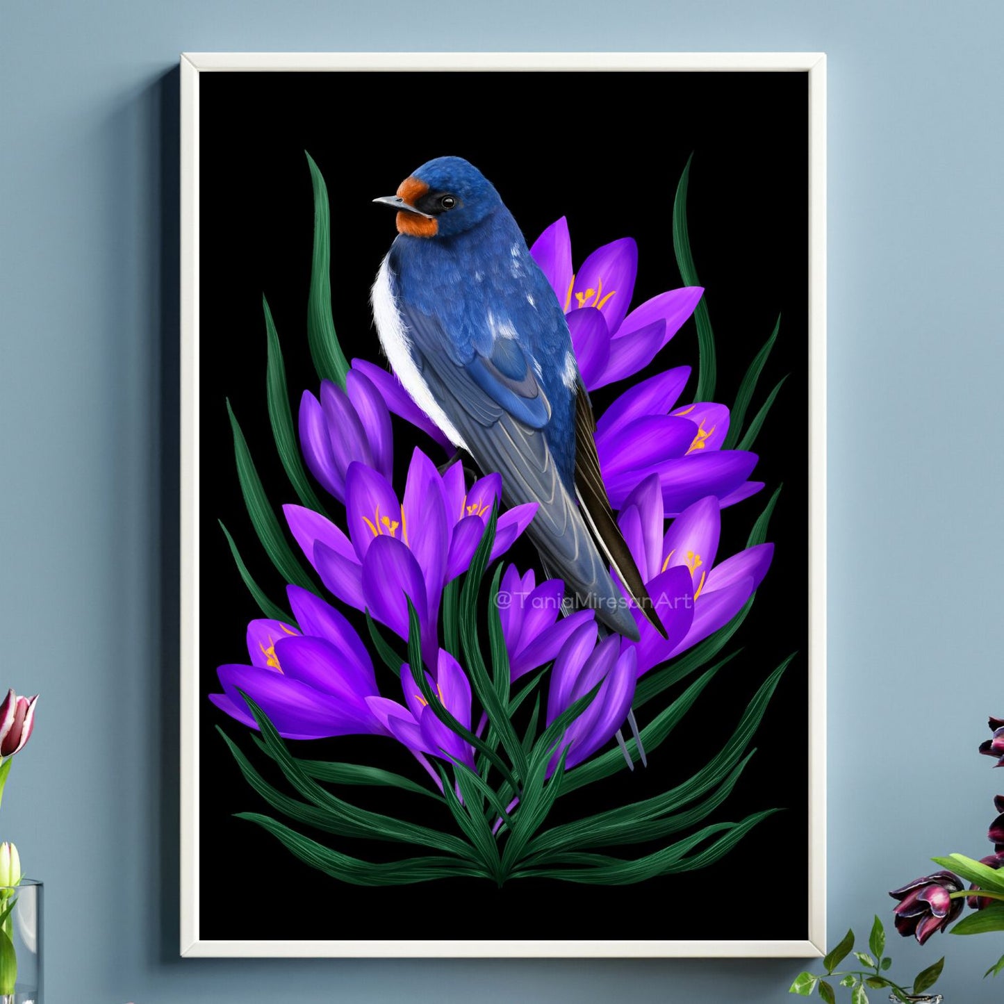 Swallow Fine Art Print