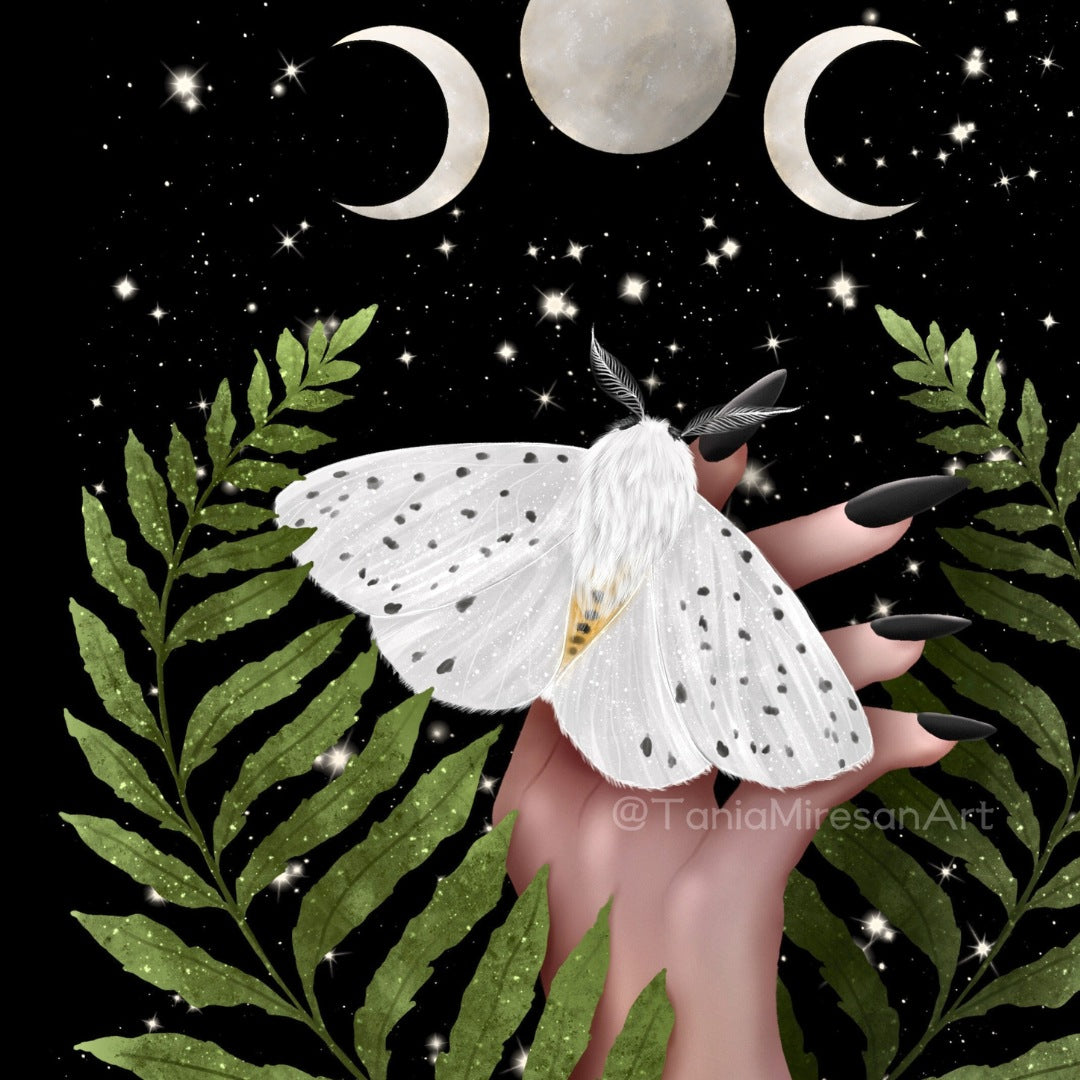 White Moth Fine Art Print