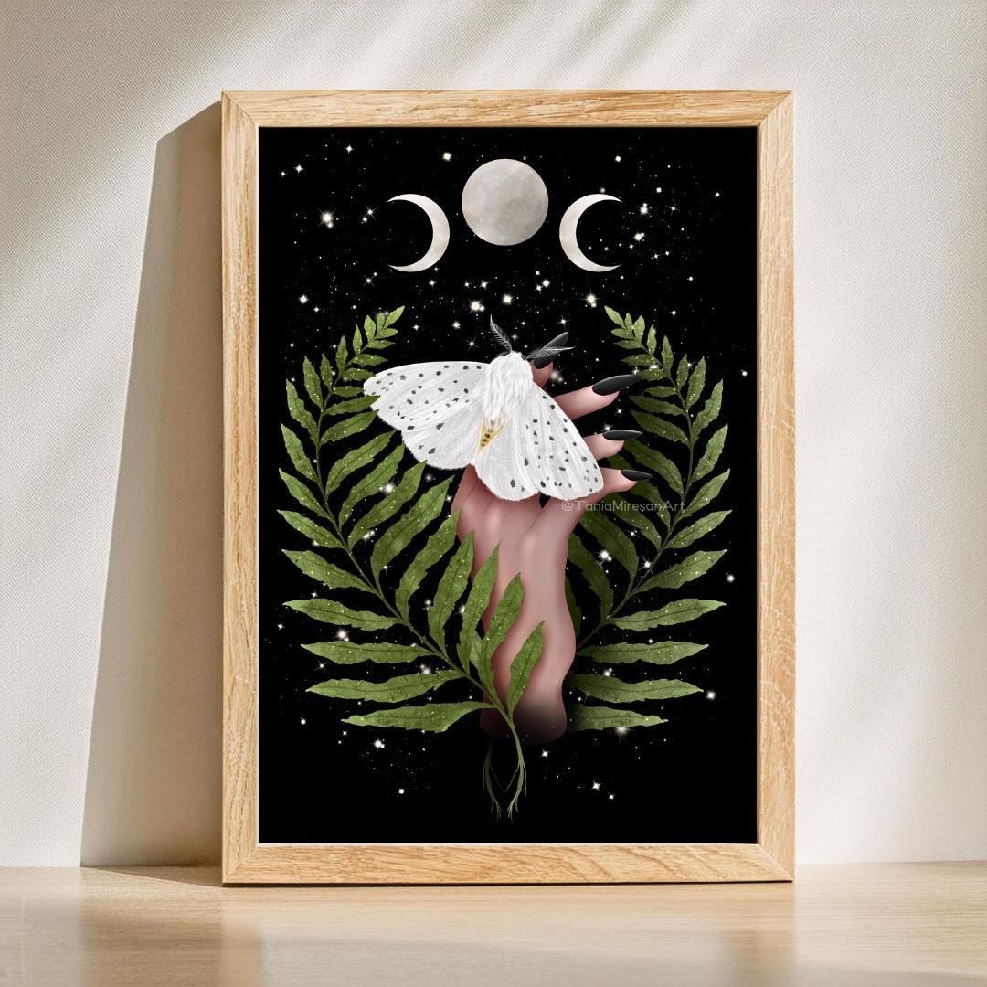 White Moth Fine Art Print